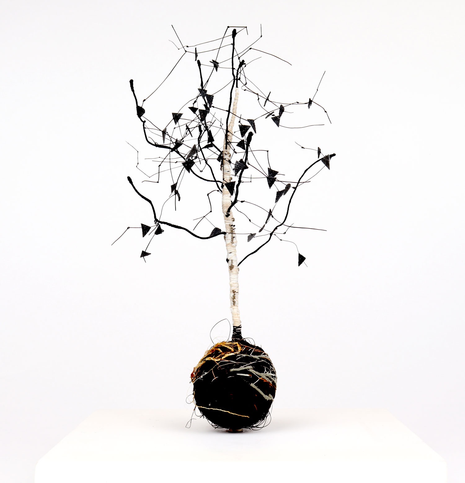 Winter Silver Birch: Maxine Greer