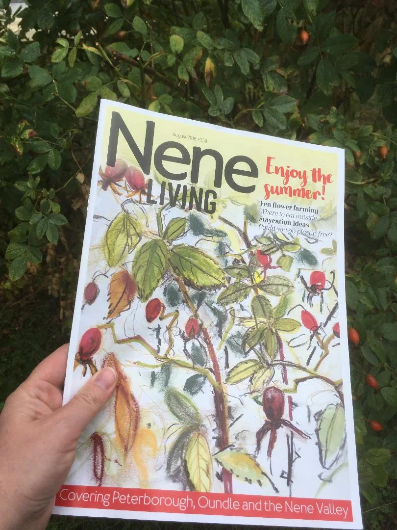 Nene Living Magazine: Featuring Rosehip Sketch