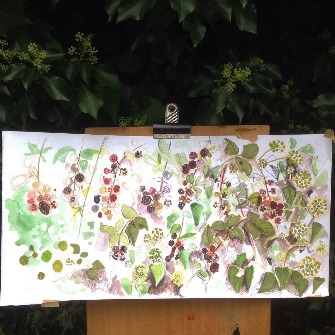 Blackberries and Ivy