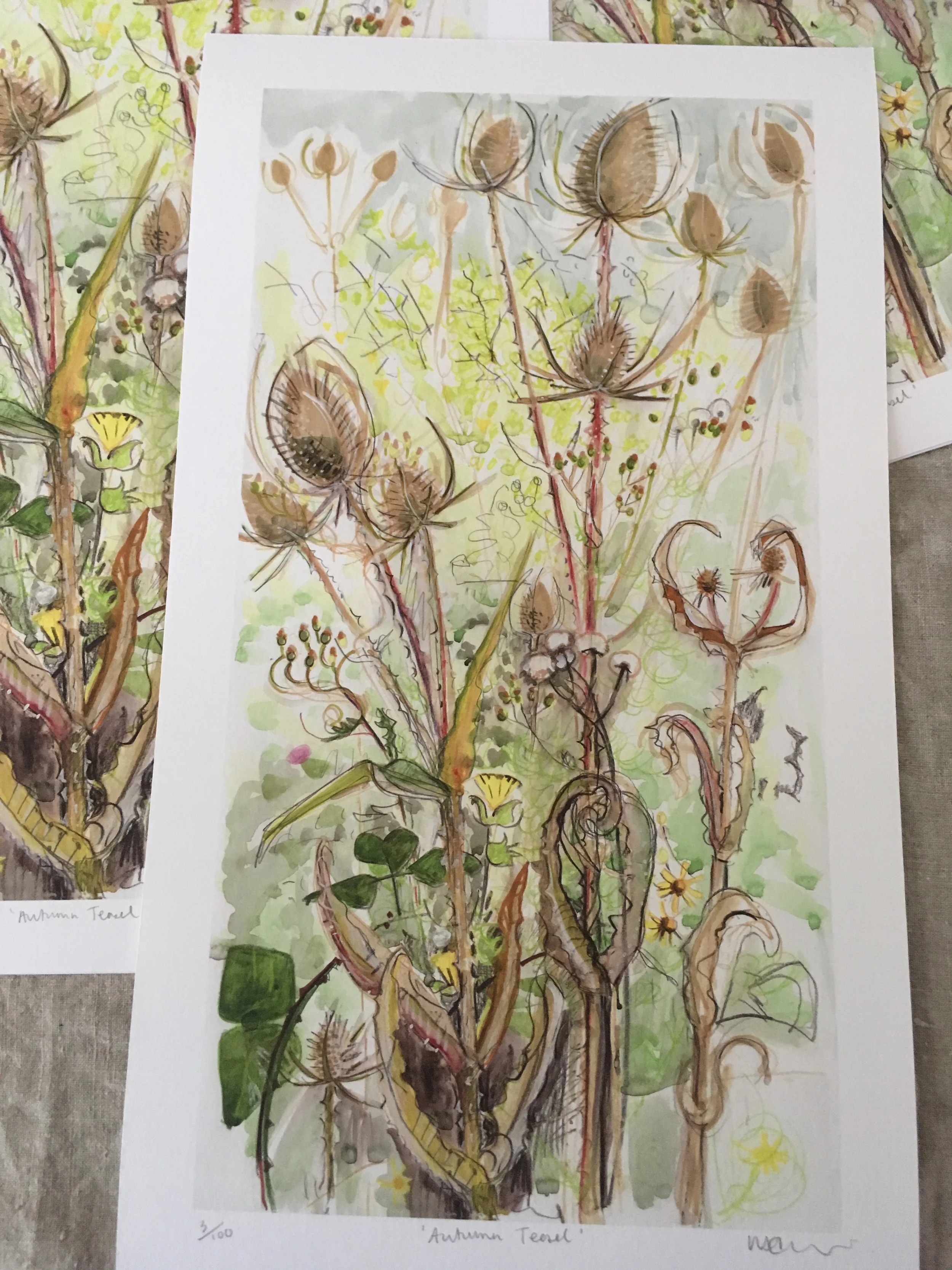 Autumn Teasel Fine Art Giclee Print