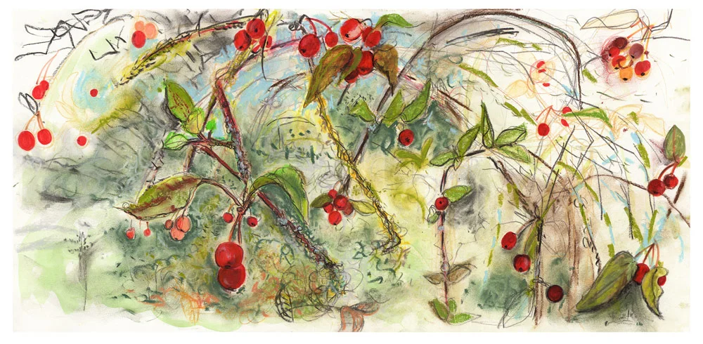 Cherry Apple Fine Art Giclee Print