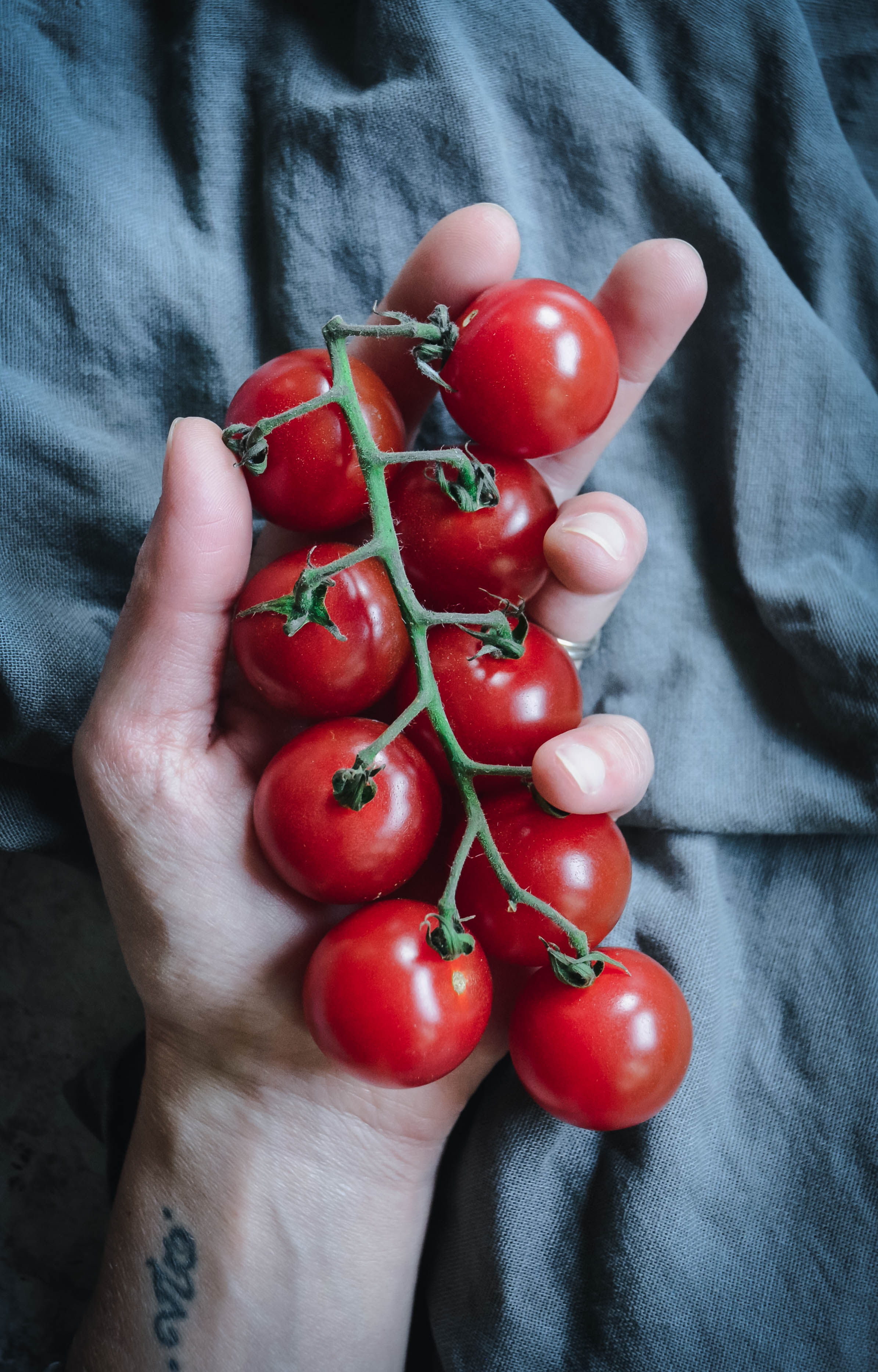 Tomatoes in hand