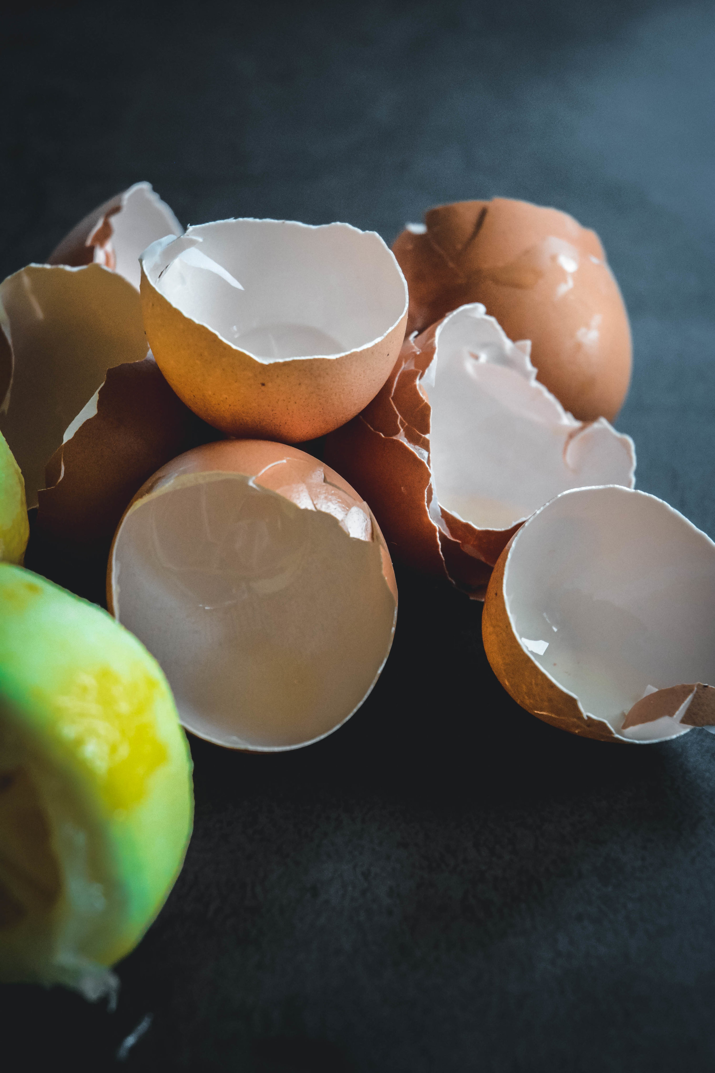 Egg shells 