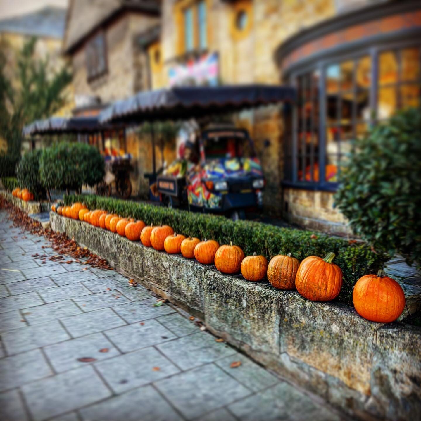 Pumpkin time! 🎃 🎃🎃 #pumpkin #locallygrown #shoplocal #vegetable #veg #healthy #shopping #broadway #cotswolds #broadwaycotswolds #broadwaydeliuk