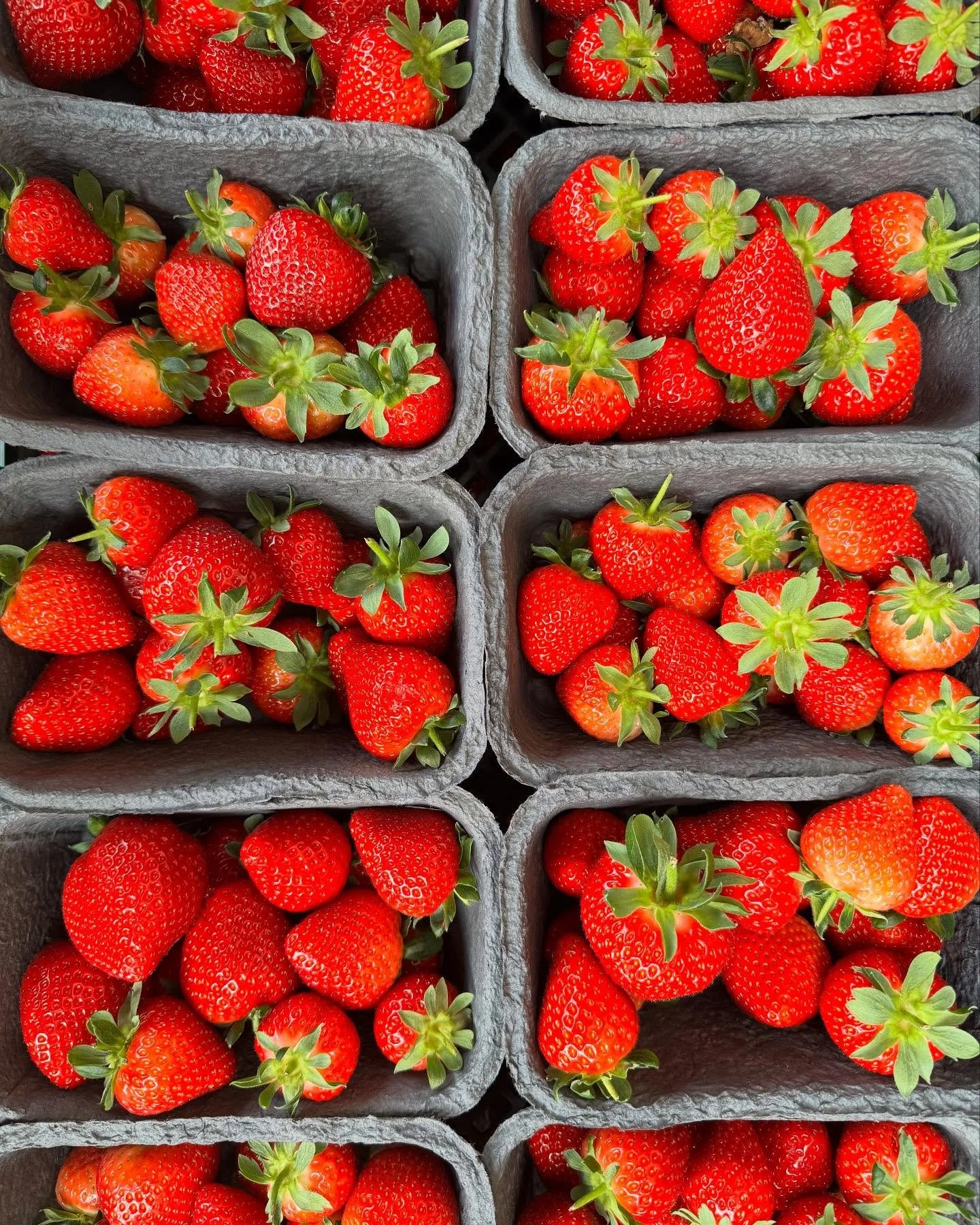The best British, local Strawberries are here for the weekend! #summeriscoming #local #strawberries #broadway #deli #fruit #juicy #localfruit #broadwaydeli #british #britishfruit #cotswolds #fresh #healthy #sugarrush #broadwaycotswolds #delicous #cot
