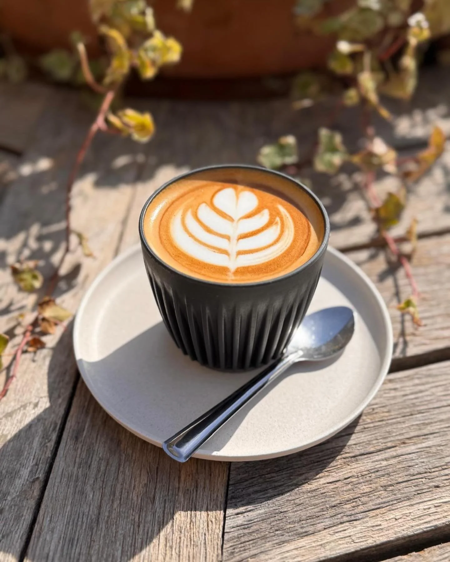 Serving fabulous @ozonecoffeeuk on @huskeeuk #coffee #beans #coffeebeans #broadway #deli #broadwaydeli #delicoffee #broadwaycotswolds #cotswolds #flatwhitecoffee #fabulous #sunshine #weekend #espresso #latteart #tulip