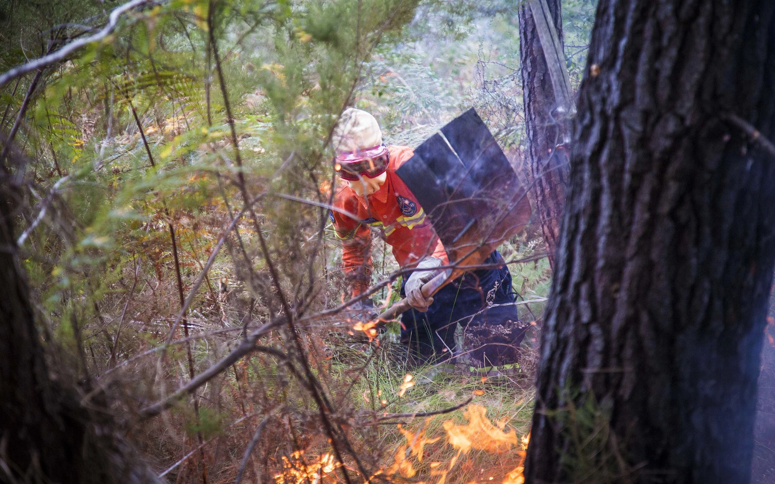 170609Knysna Fire044.jpg