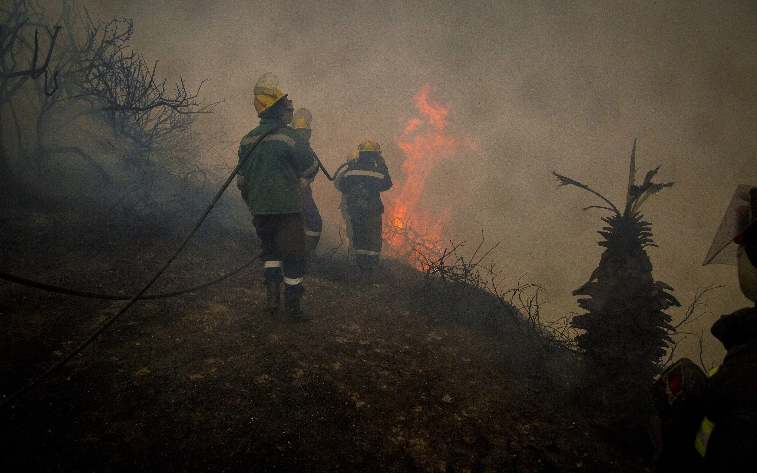 170610Knysna Fire072.jpg
