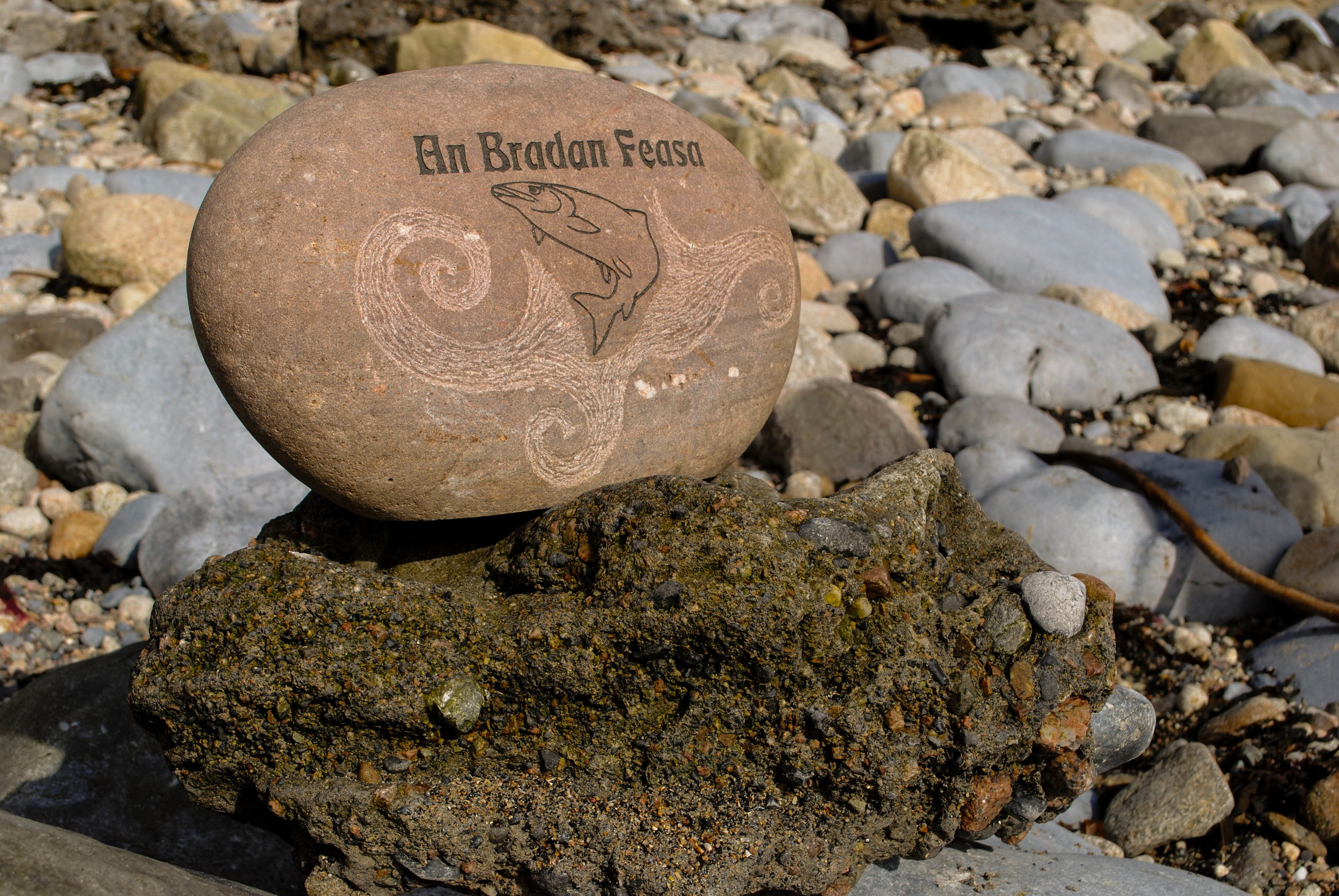 An Bradan Feasa (The Salmon of widsom) FOR SALE