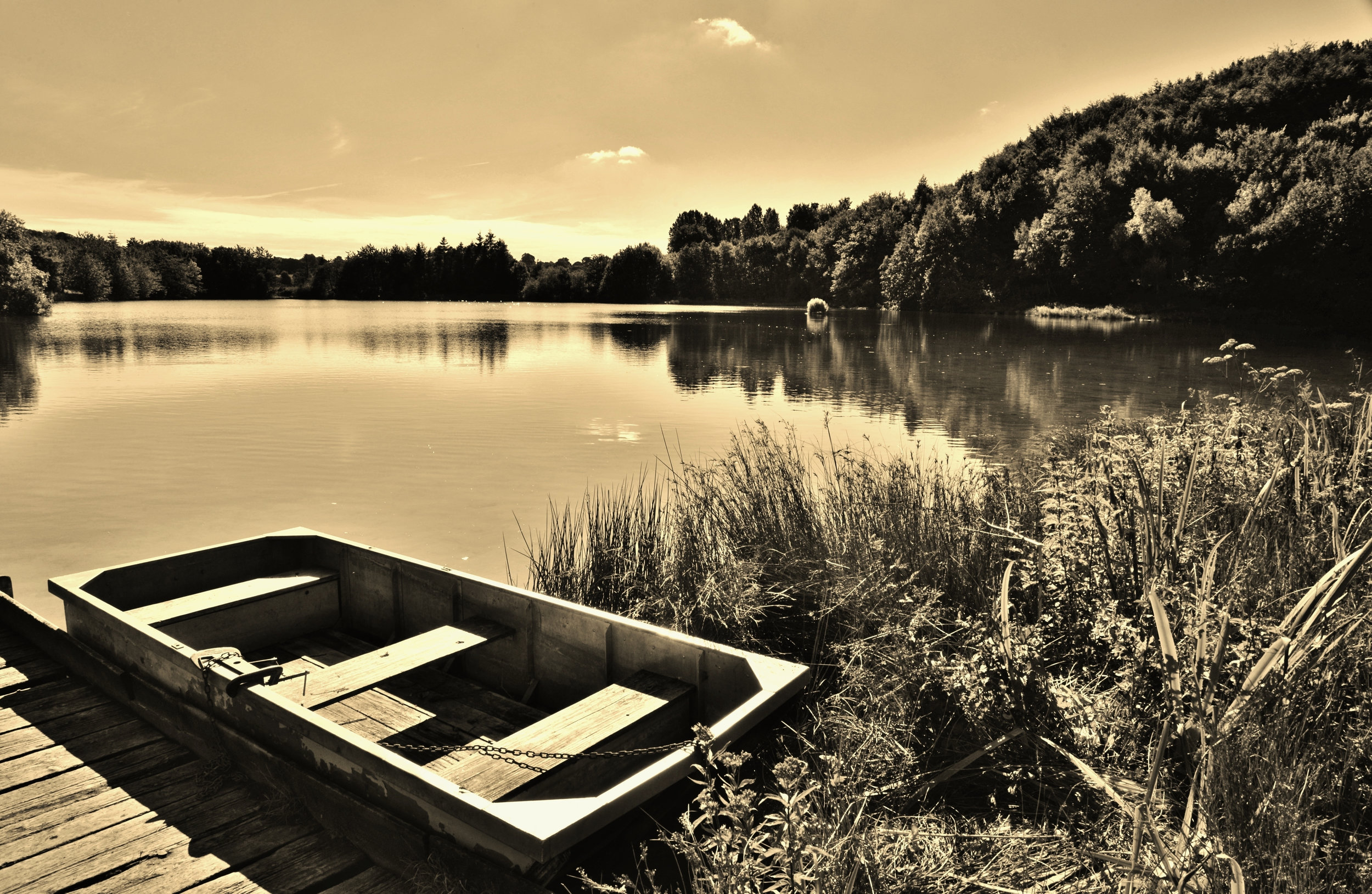 tanfield lake 5.jpg