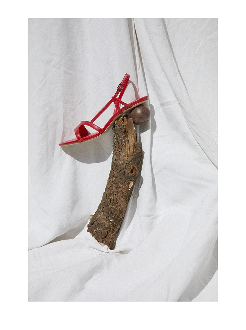 Nature Morte