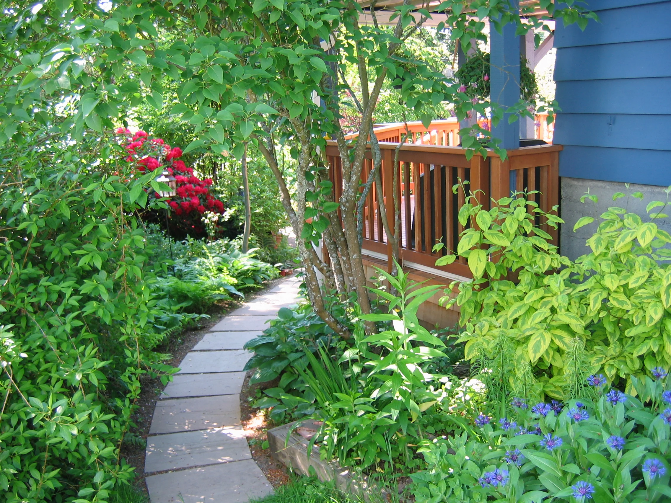 garden1.jpg