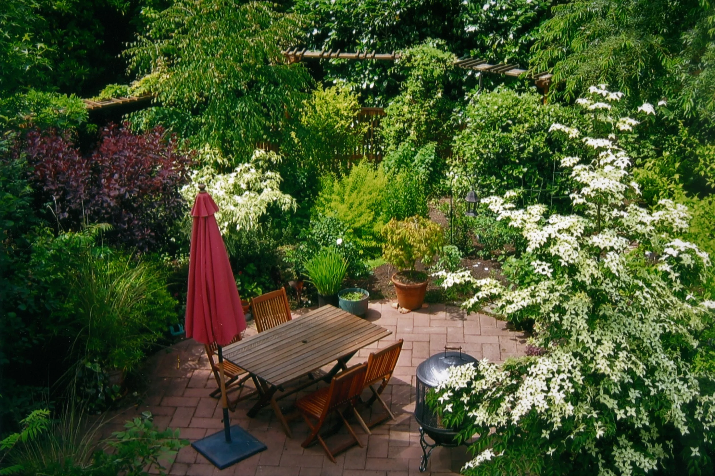 garden0.jpg