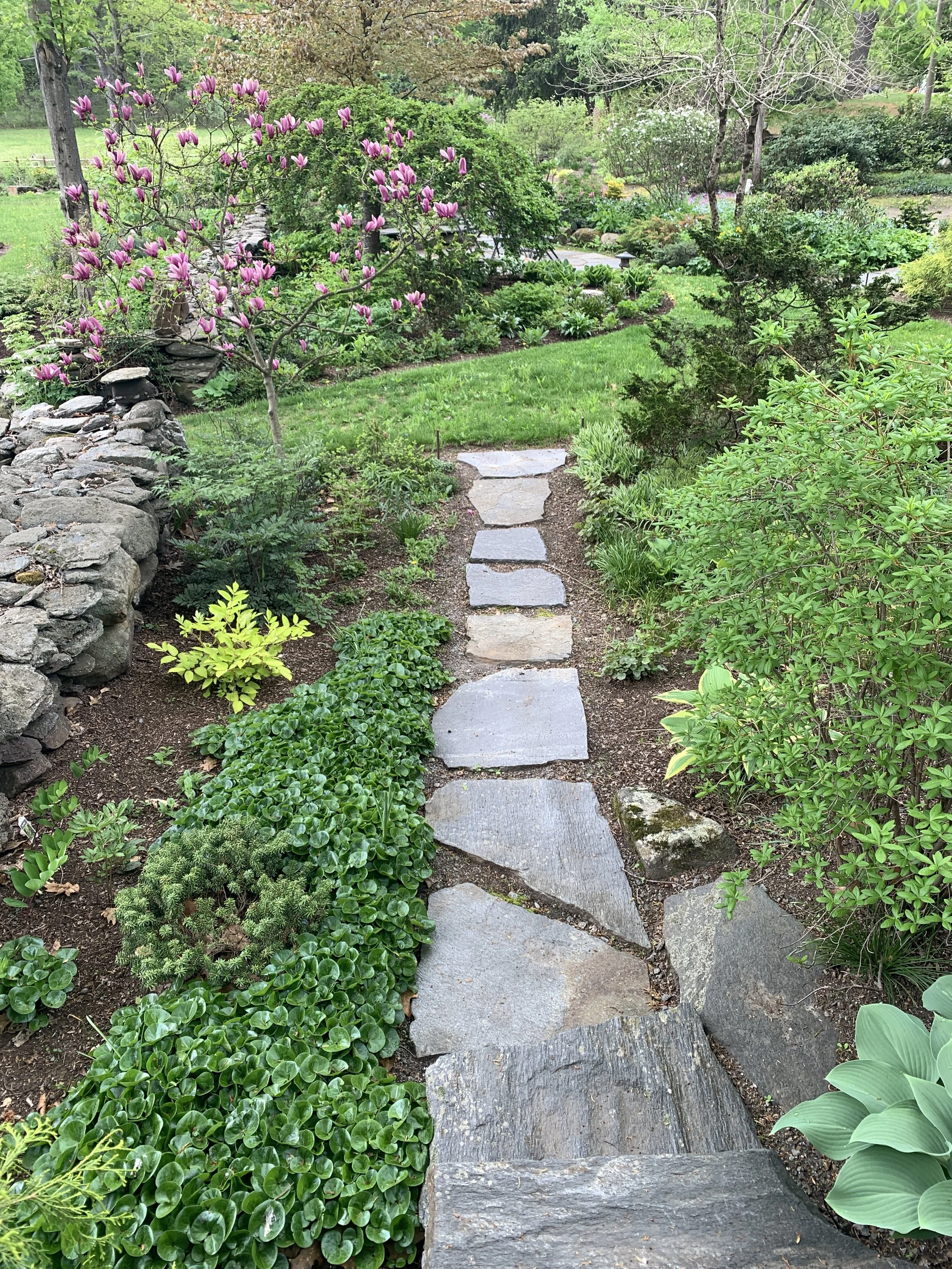 Locally quarried flagstone path through beautiful spring gardens 