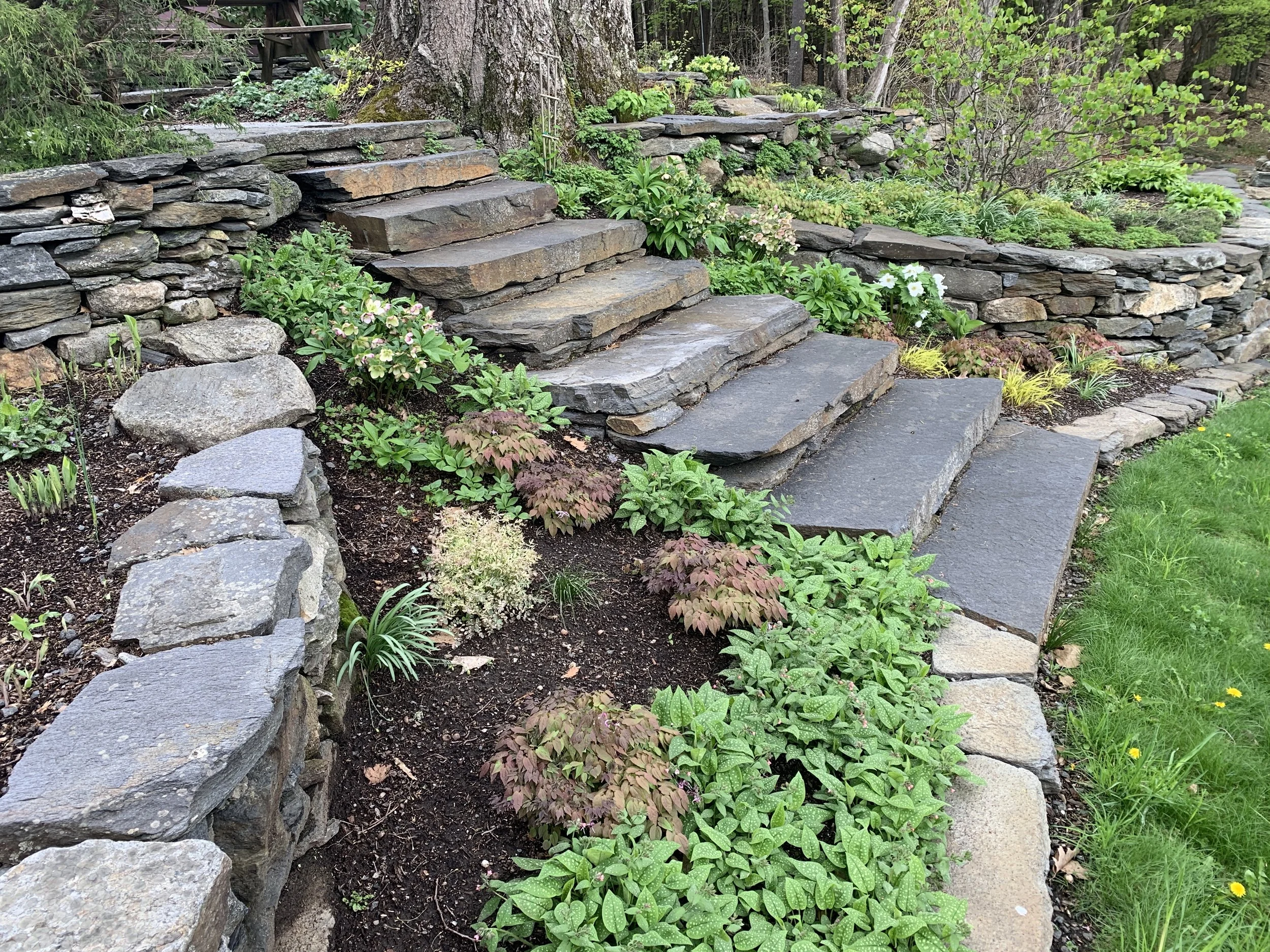 cl garden steps good one.jpeg