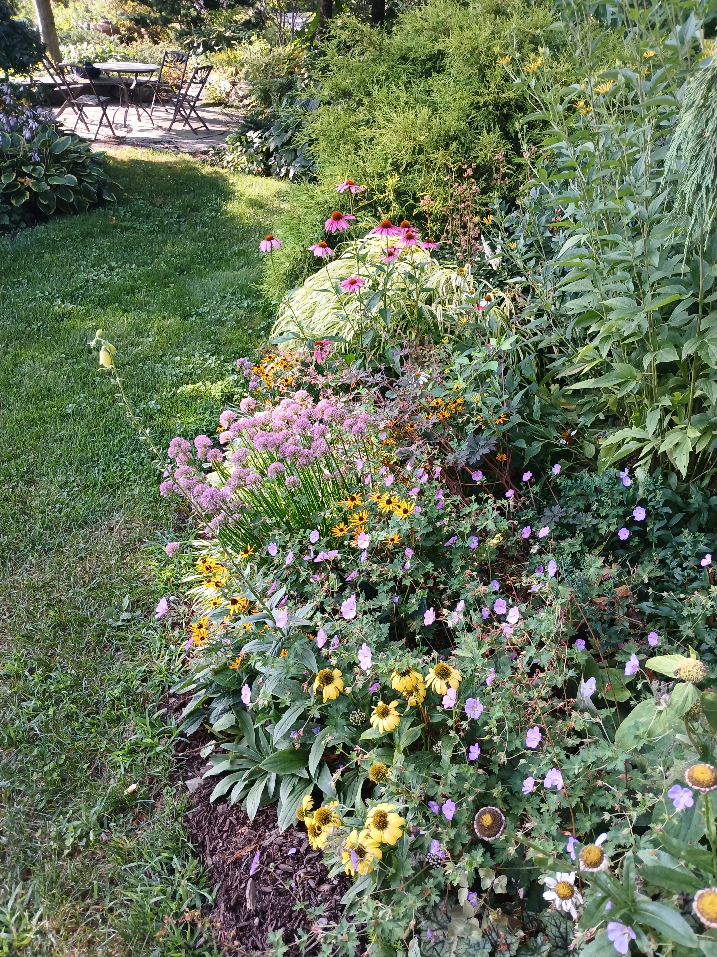 cl spring foliage.jpg