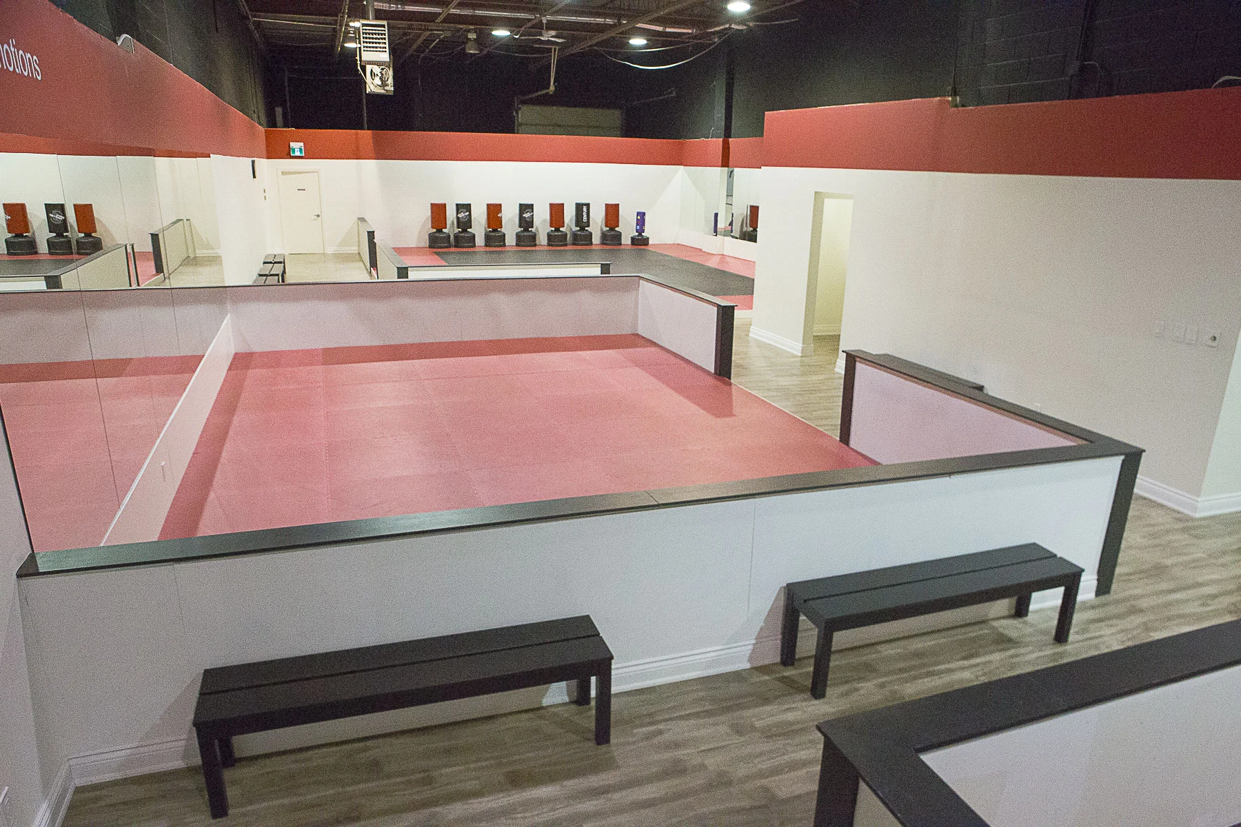 Prodigy 111web files 300dpi.jpg