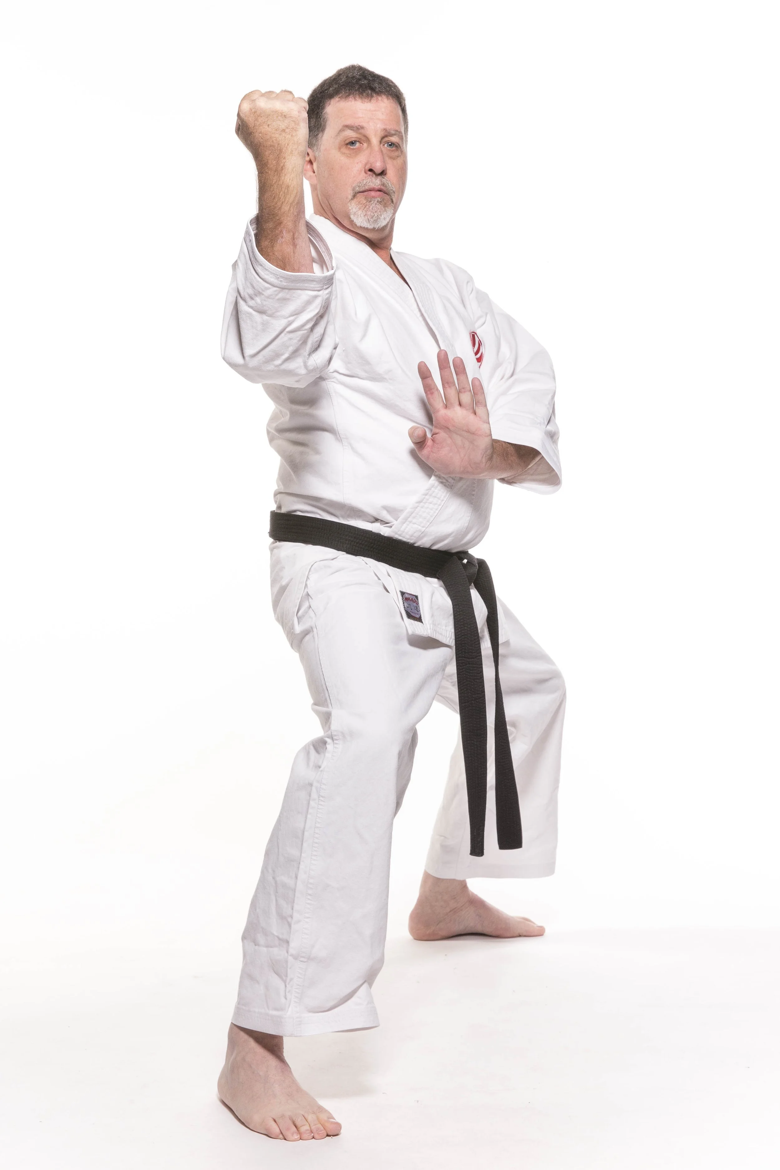 Our Team — Prodigy Martial Arts