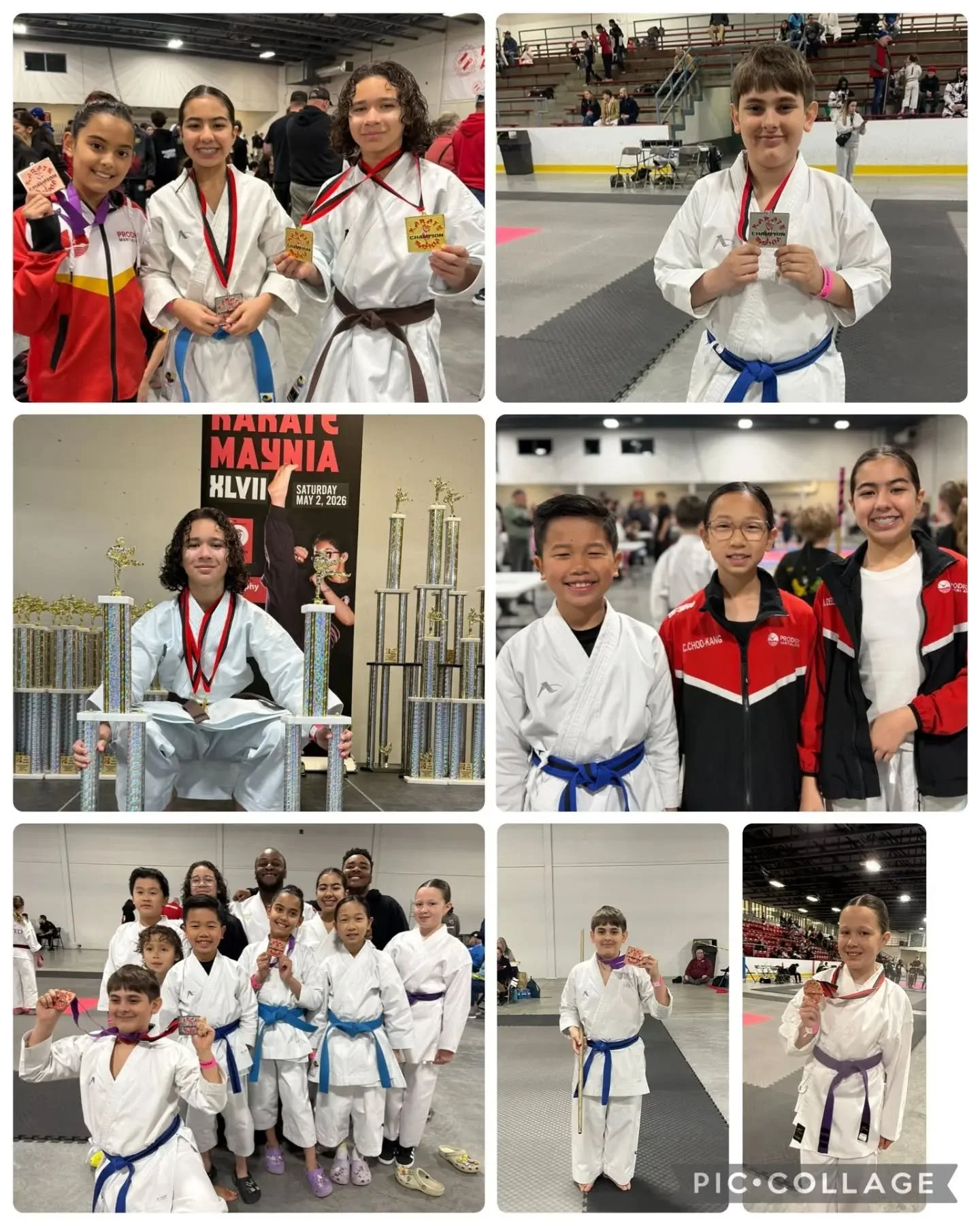 FLASHBACK SUNDAY
.
Great results from our Students last week at Karatemaynia. Great competition, great performances and lots of trophies. Proud of everyone's success!!
.
Keep it up!!!
.
.
#karate #martialarts #competition