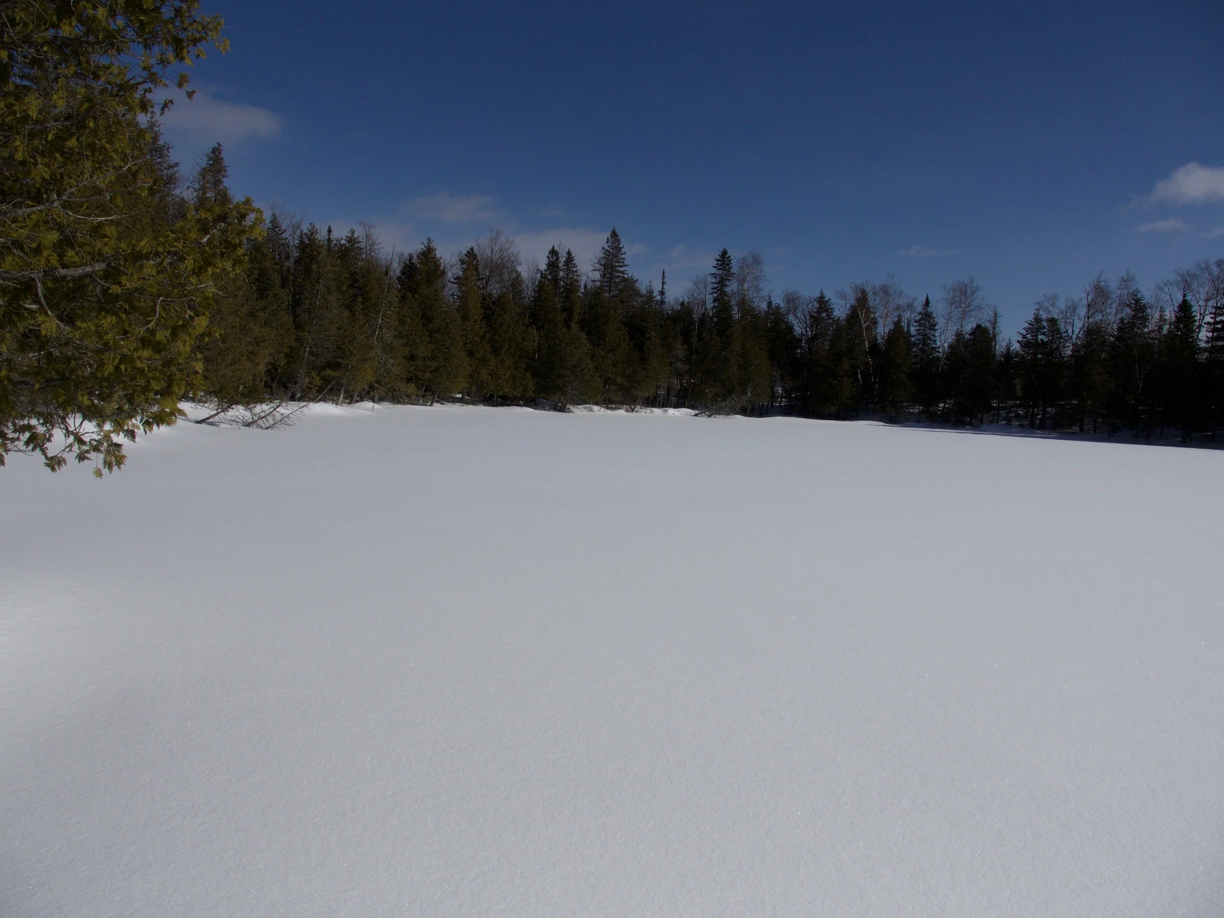 P1050540.jpg
