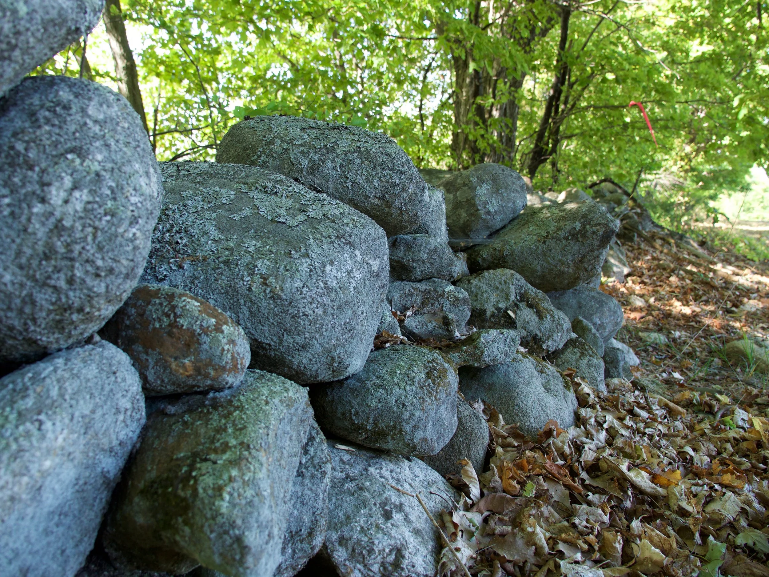P1010118.jpg