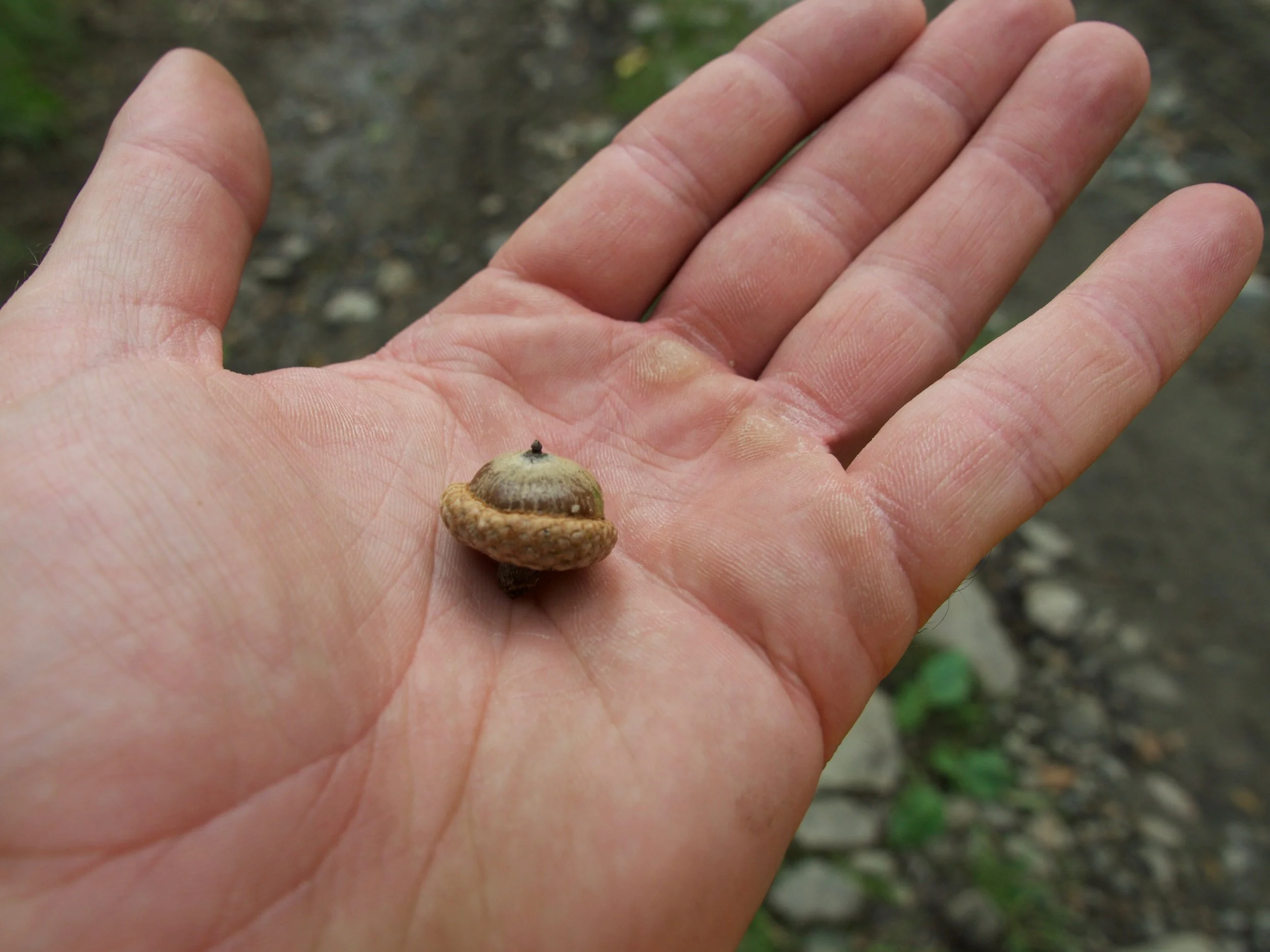 P1000557.jpg