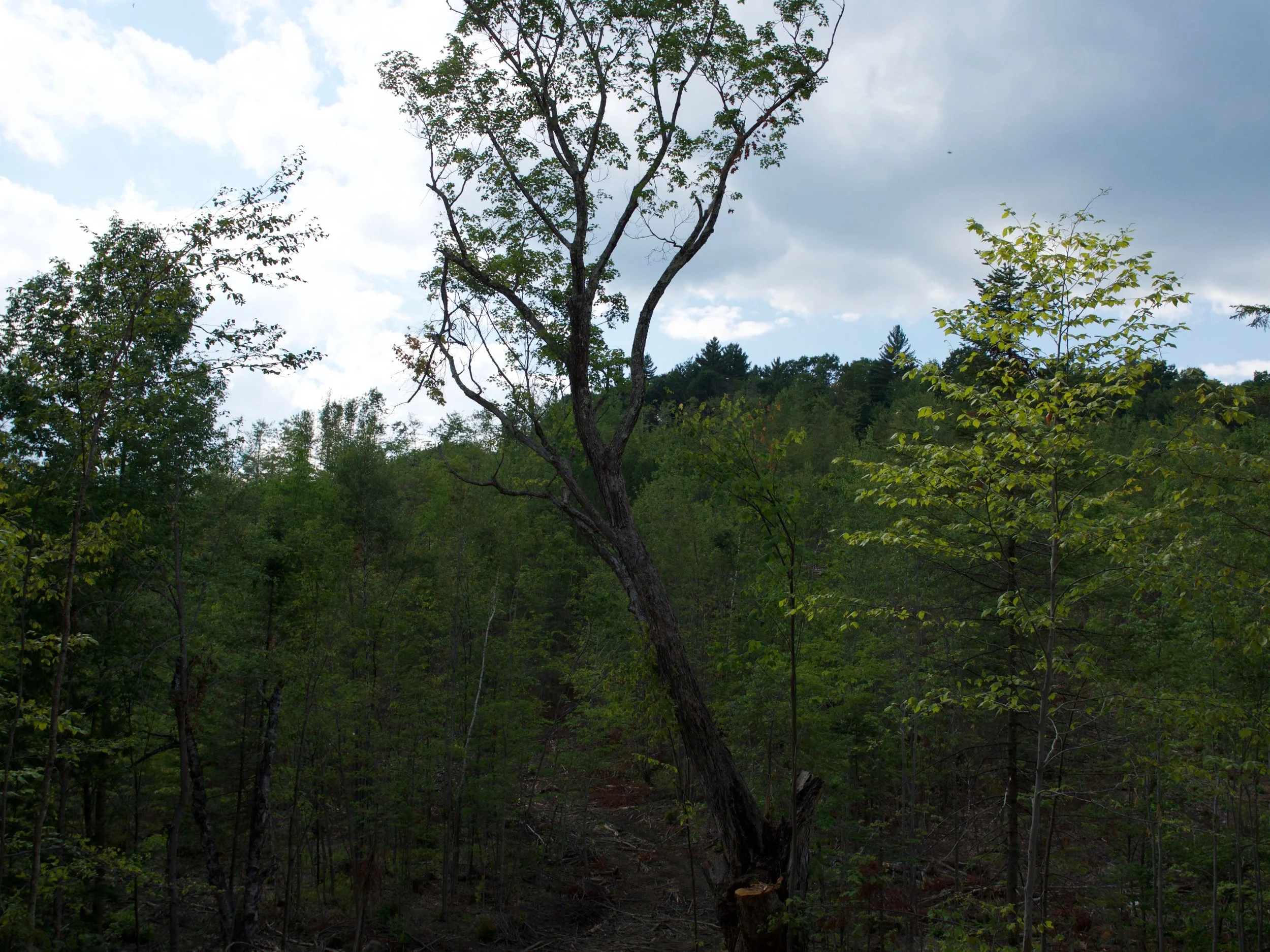 P1000543.jpg