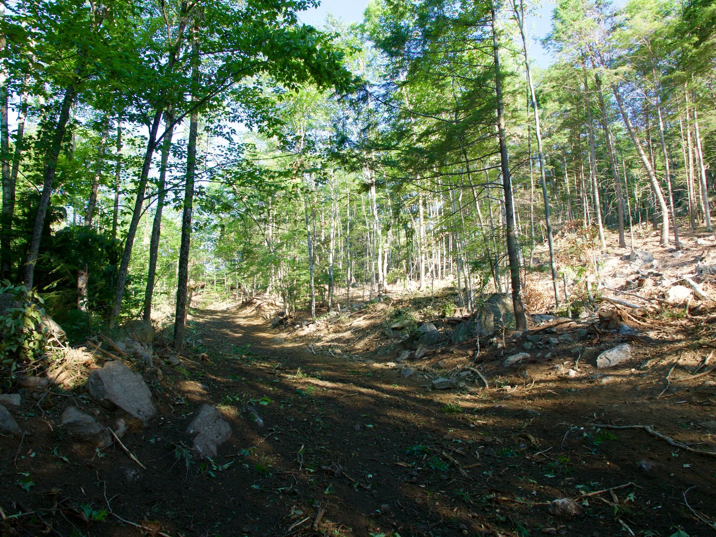 P1000765.jpg