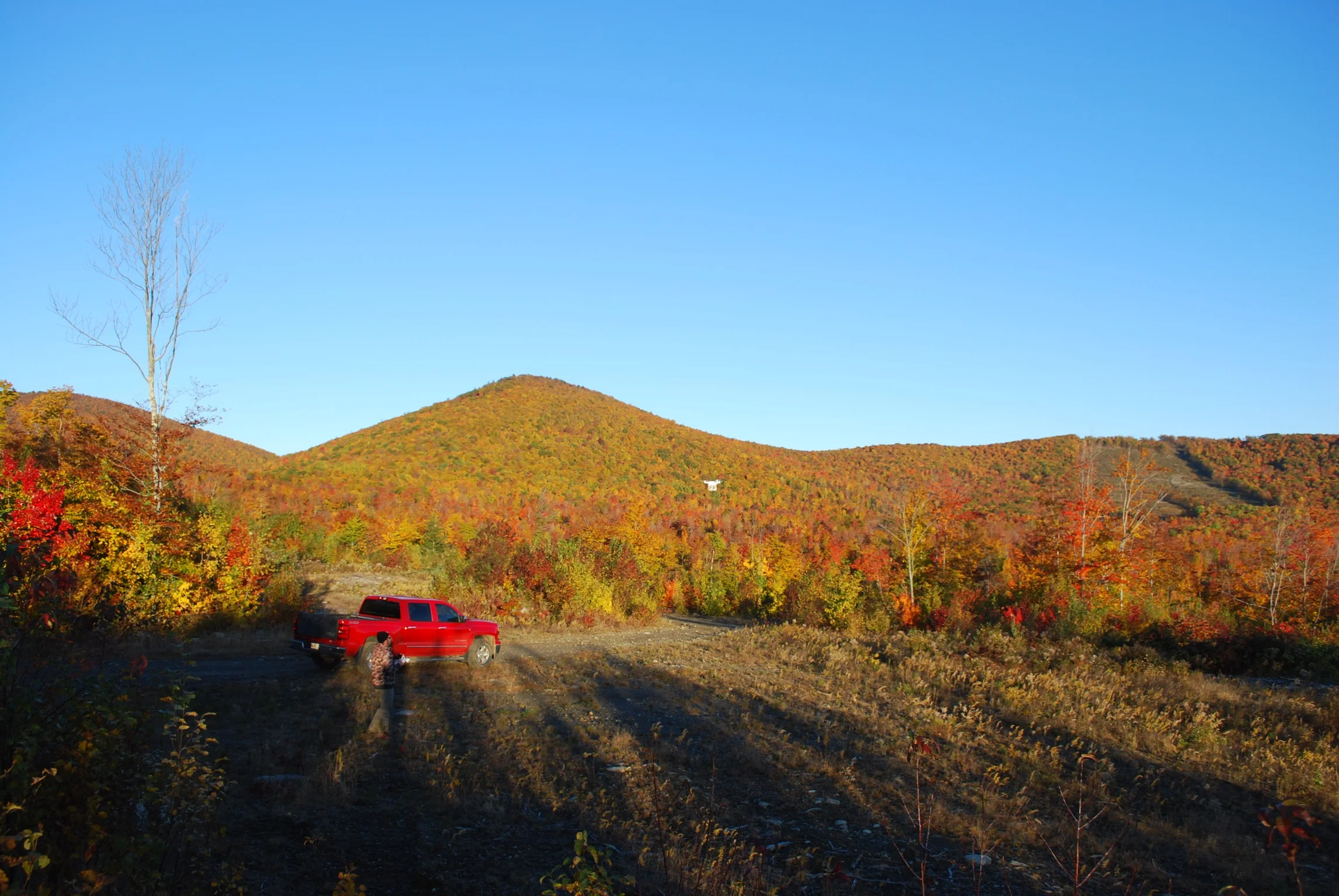 DSC_0021_2.jpg