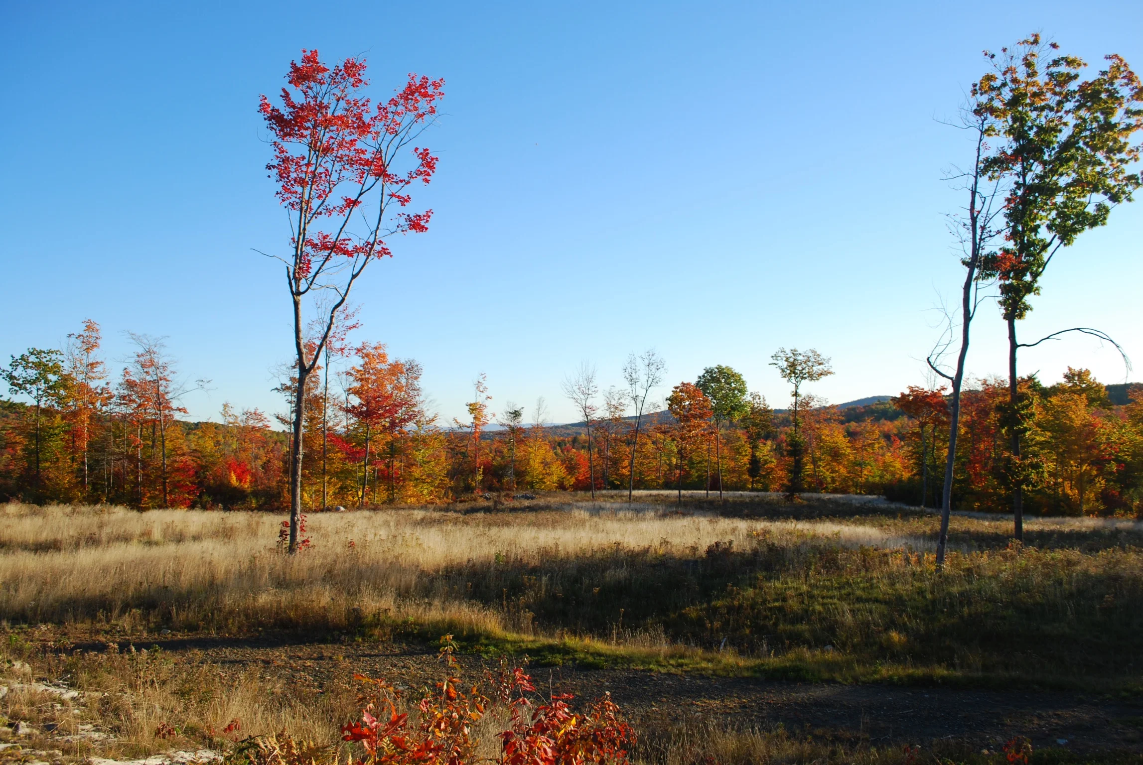 DSC_0025_2.jpg