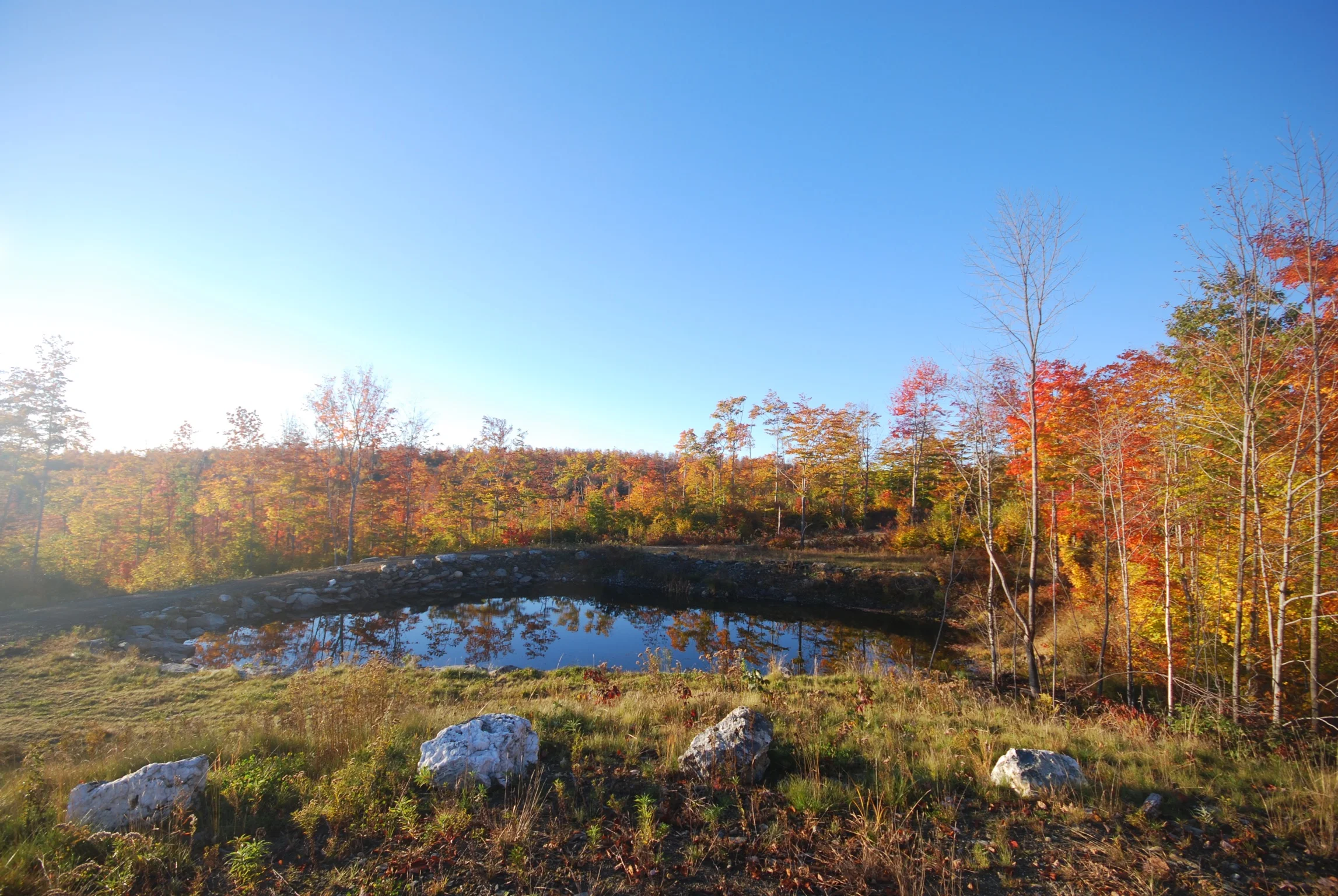 DSC_0029_2.jpg