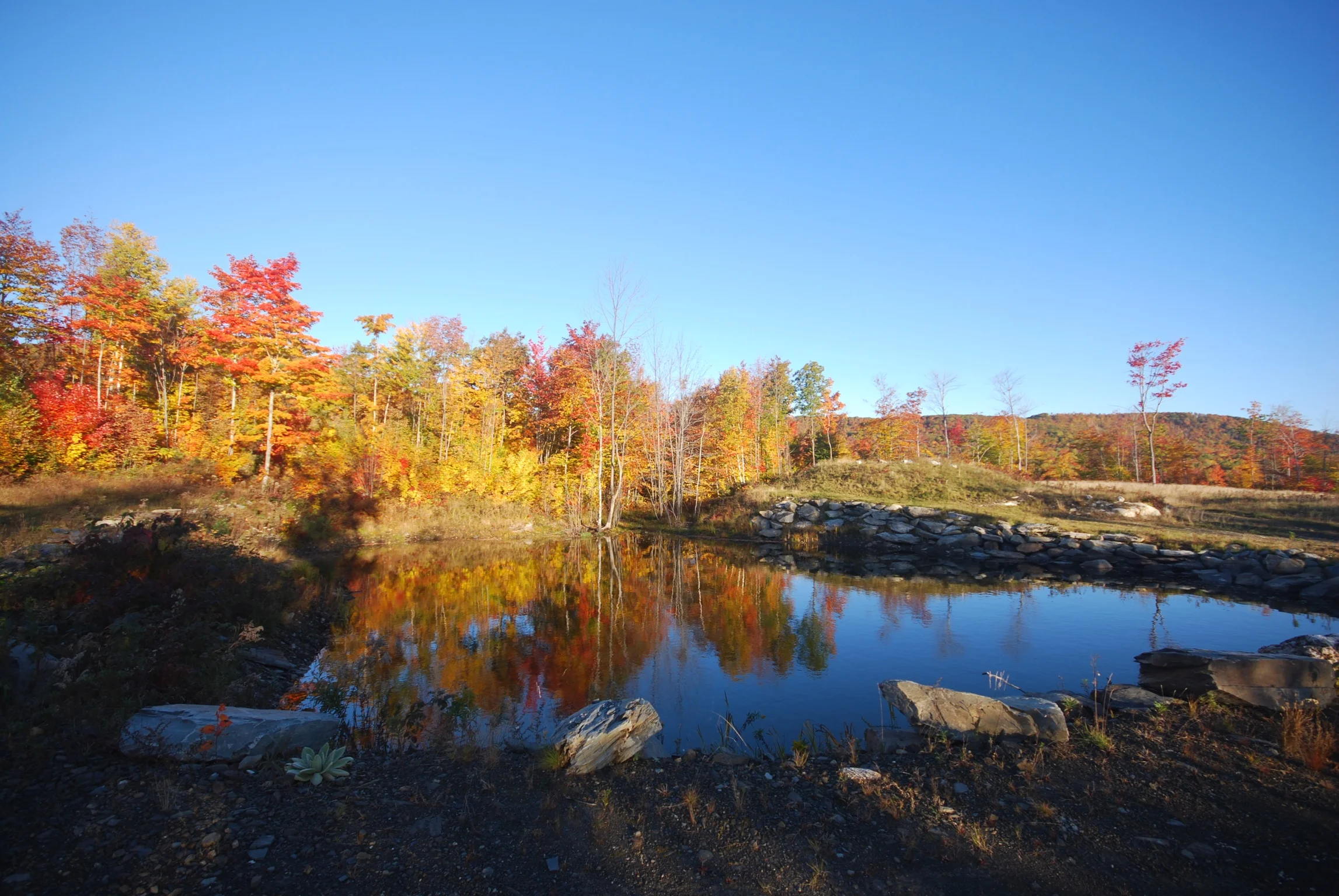DSC_0079_2.jpg