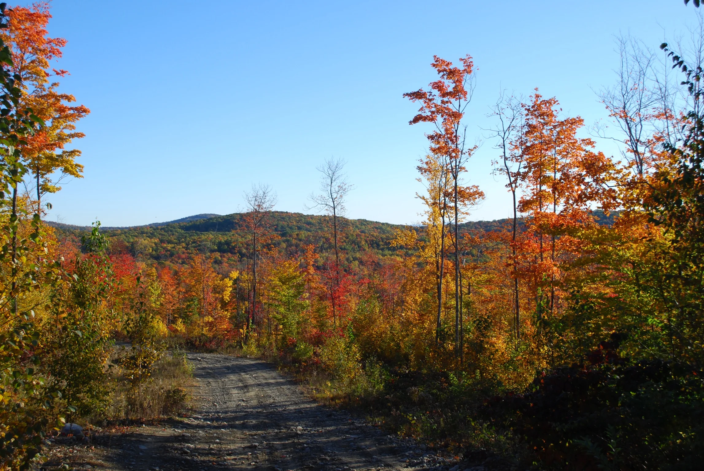 DSC_0080_2.jpg