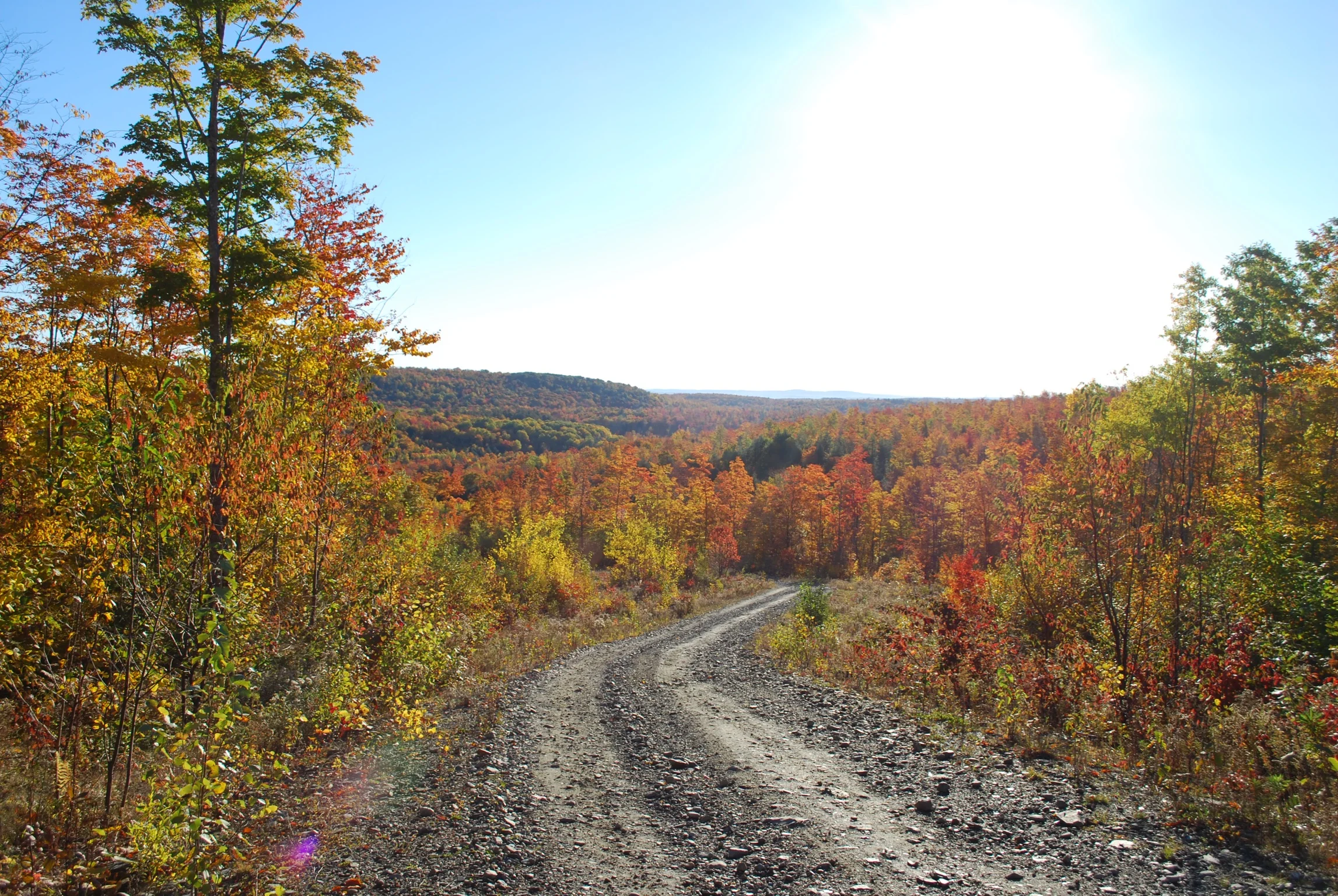 DSC_0085_2.jpg