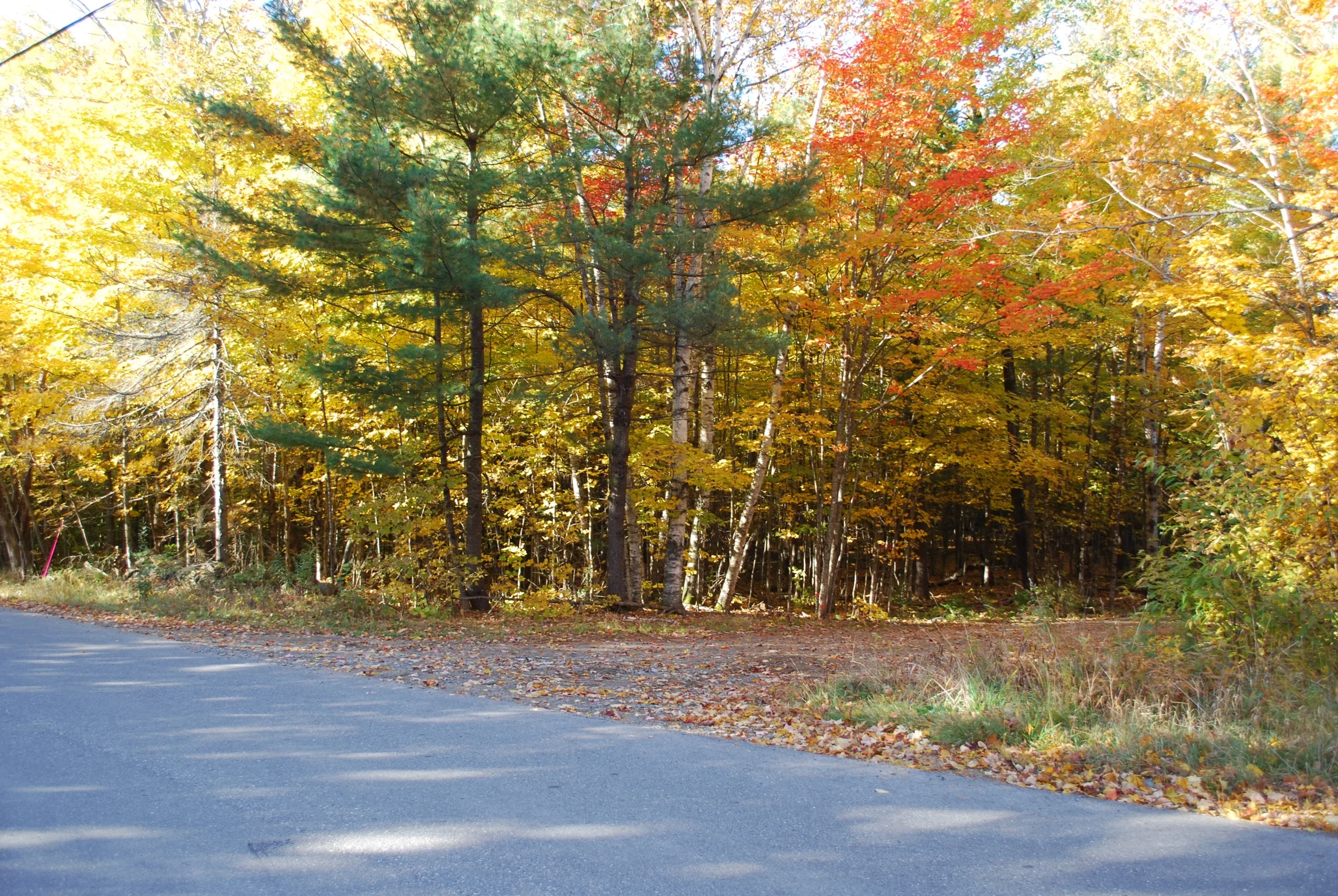 DSC_0122_2.jpg