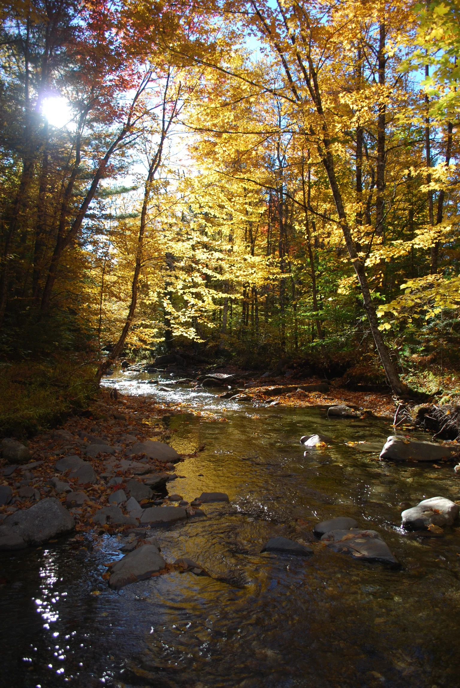 DSC_0173_2.jpg