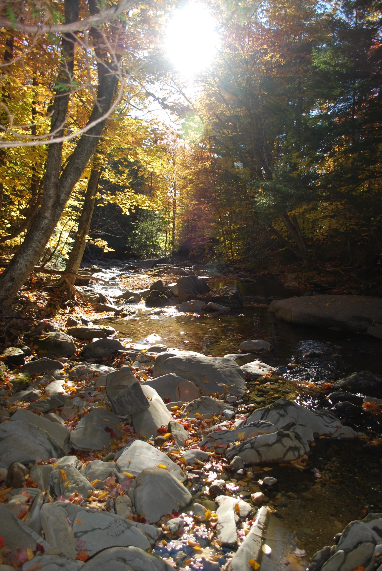 DSC_0196_2.jpg