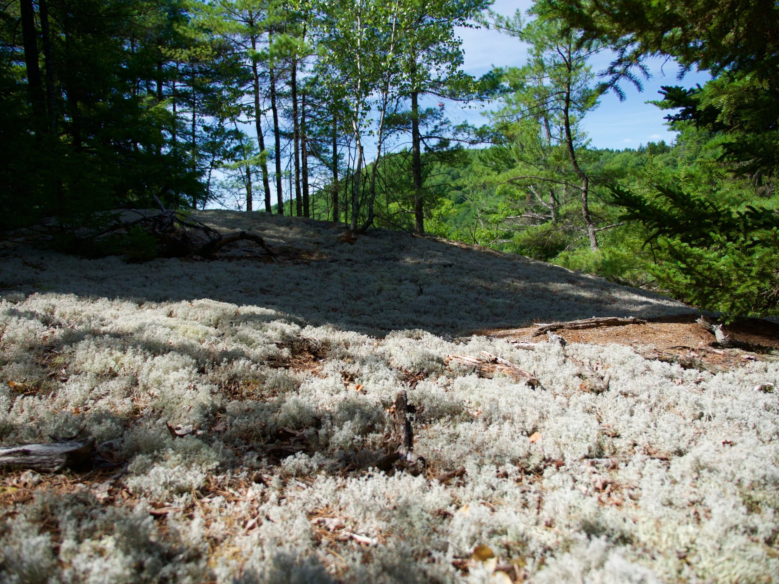 P1000688.jpg