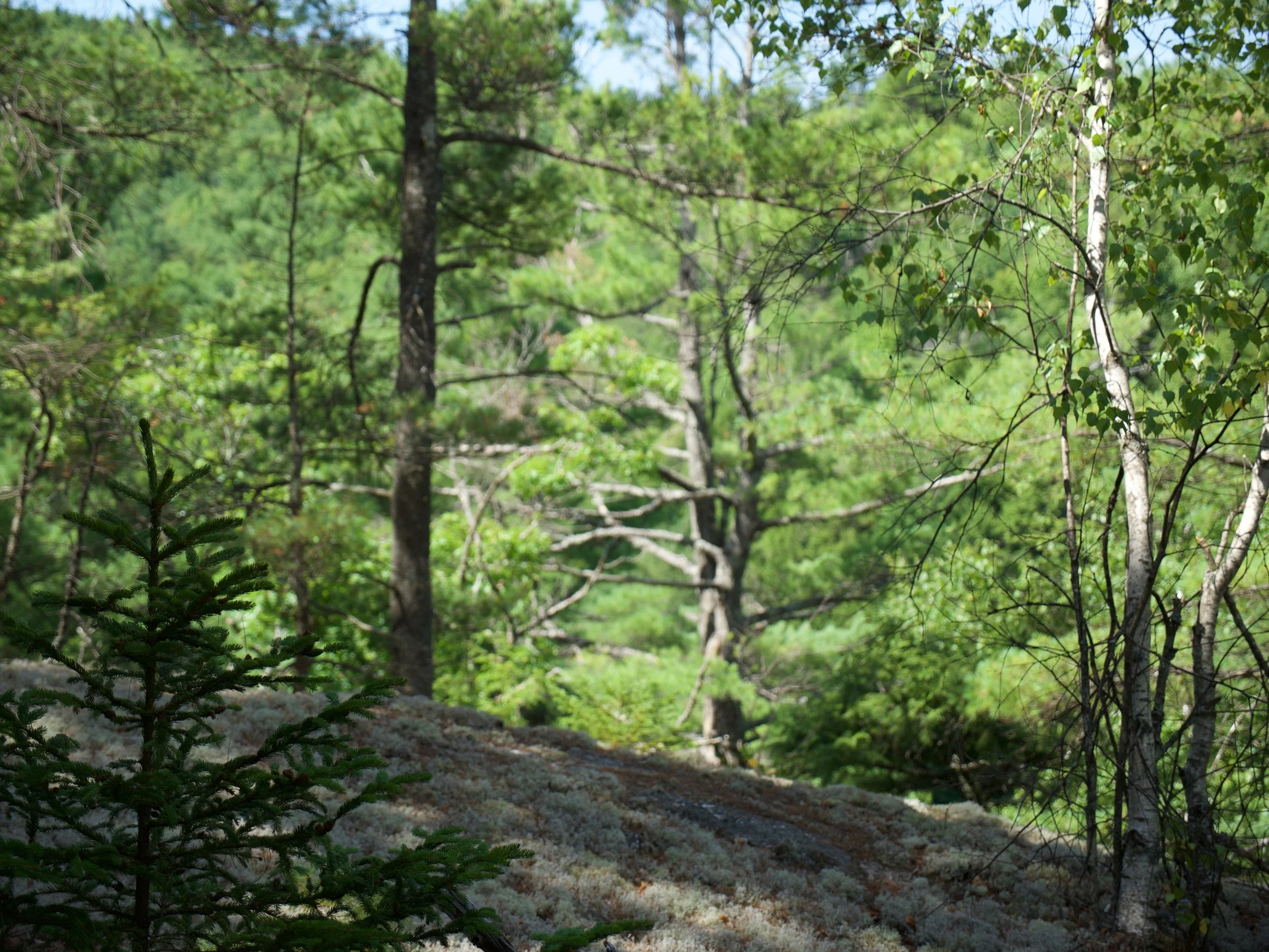 P1000691.jpg