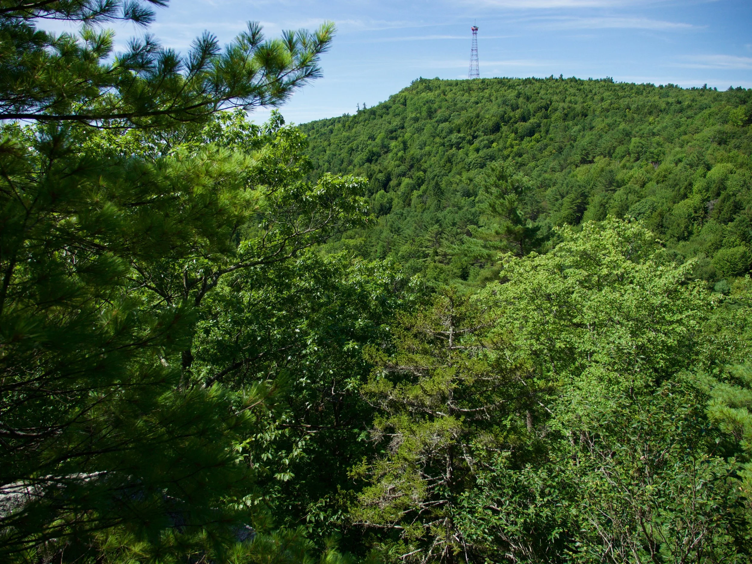 P1000726.jpg
