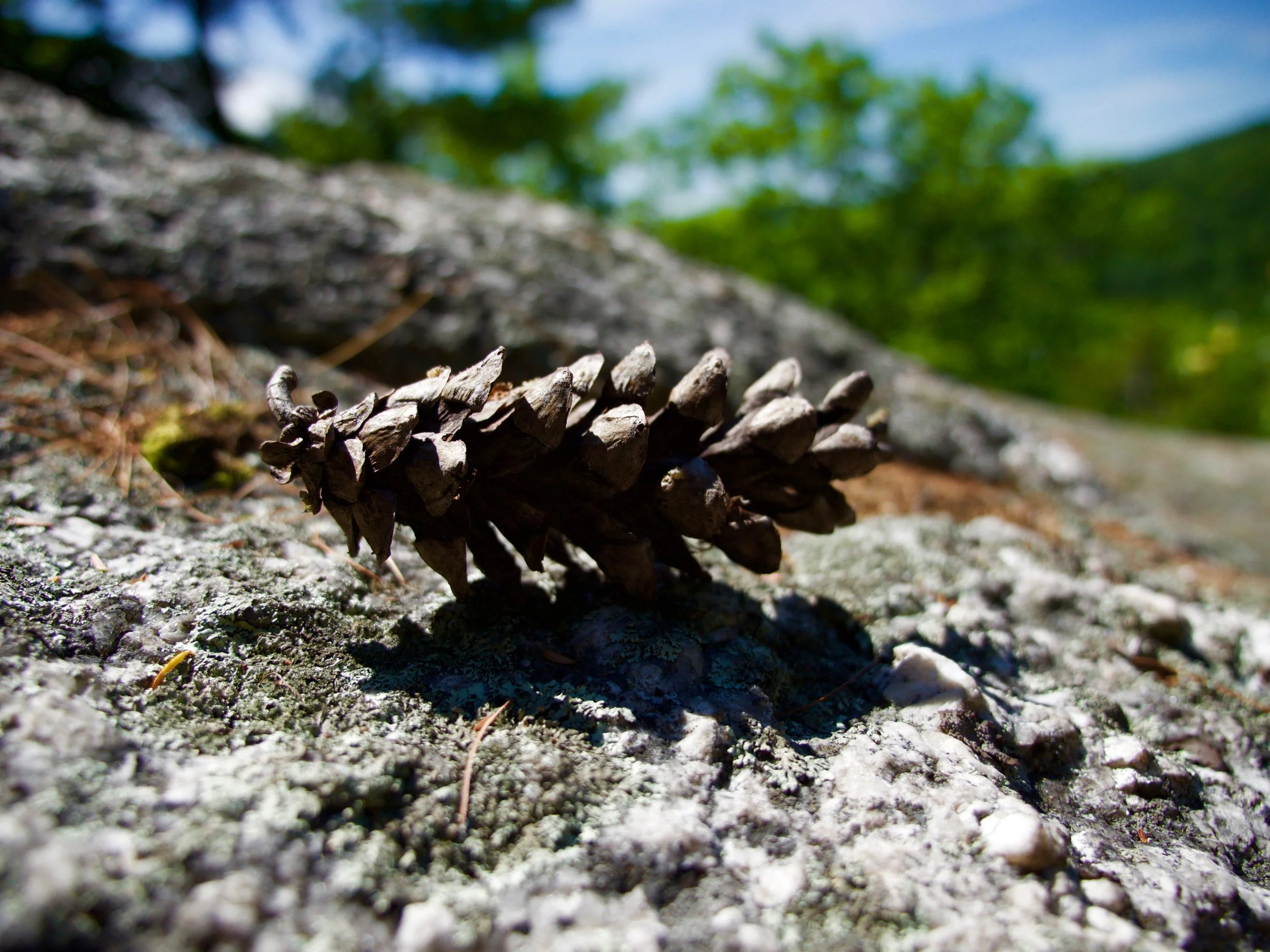 P1000727.jpg
