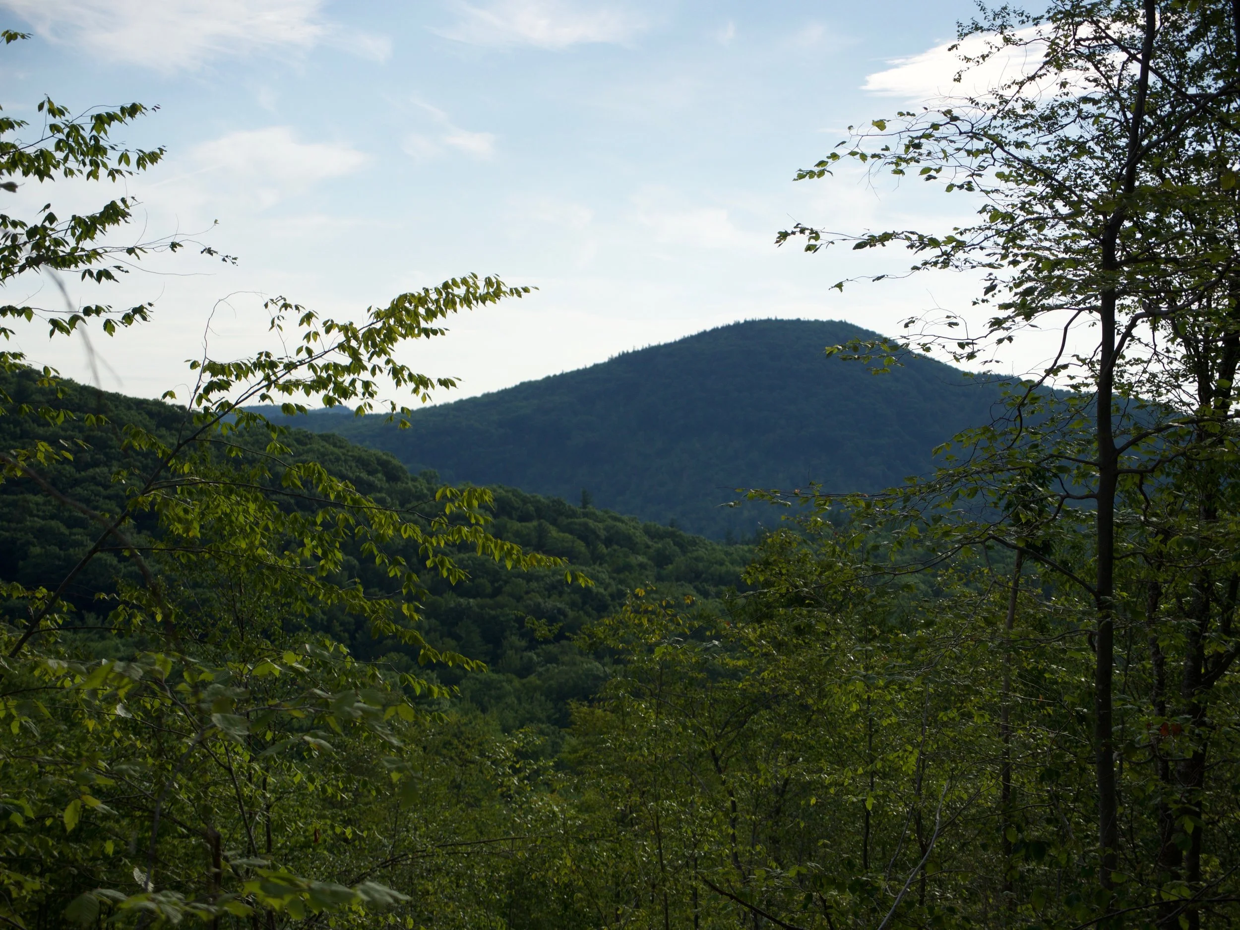 P1000380.jpg