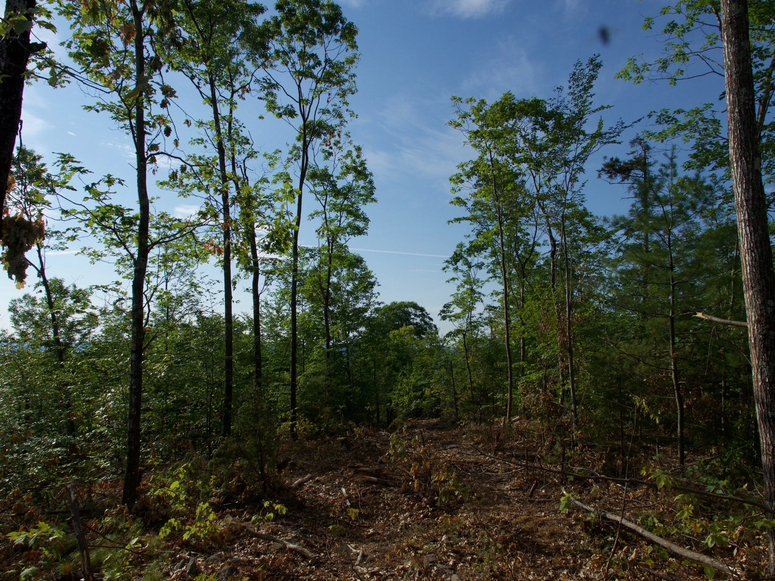 P1000392.jpg