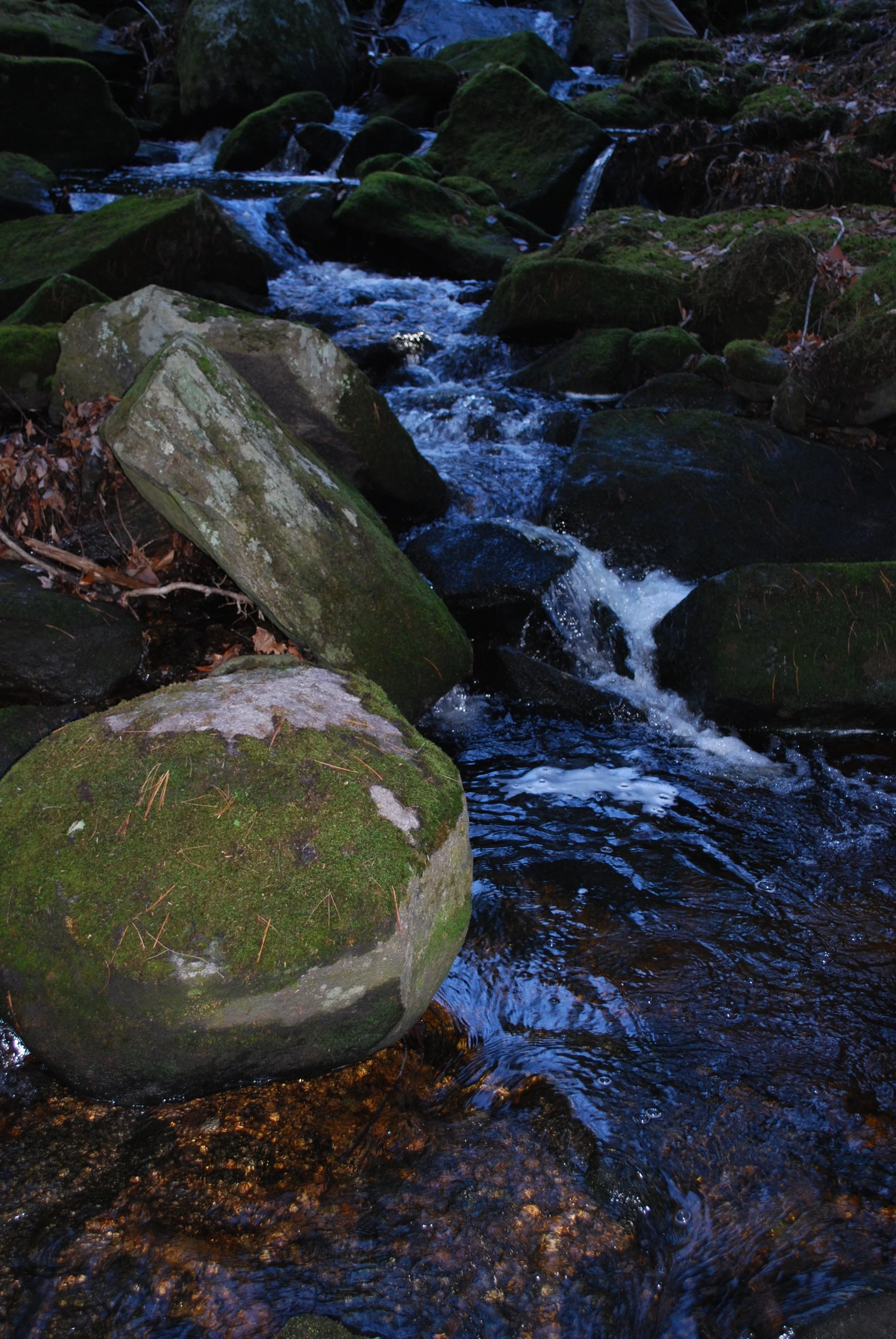 DSC_0099.jpg