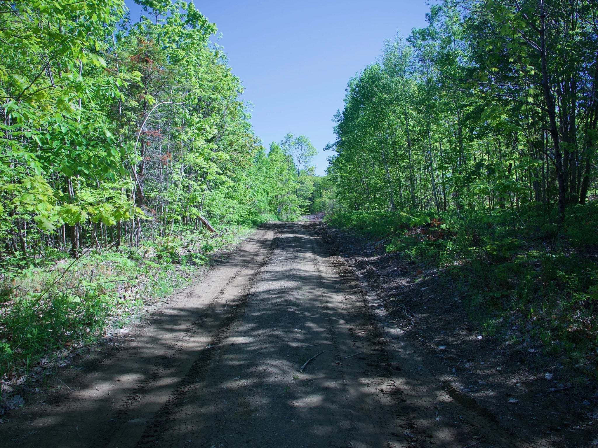 P1060330.jpg