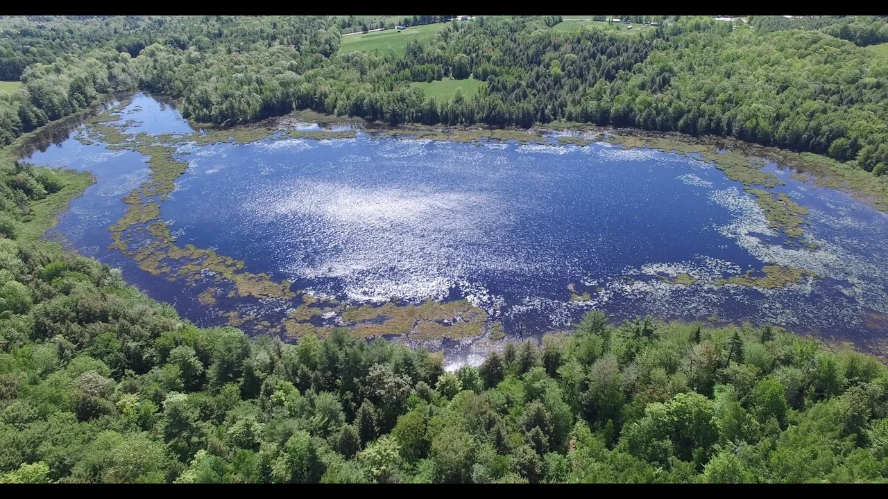pond liberty 70.jpg