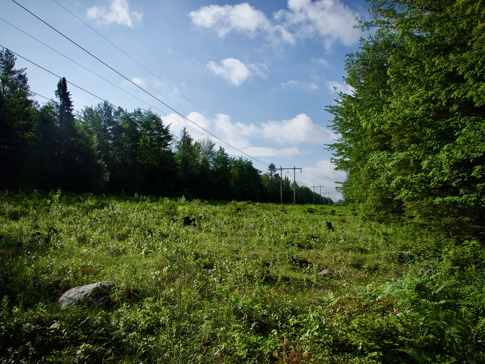 P1060528.jpg
