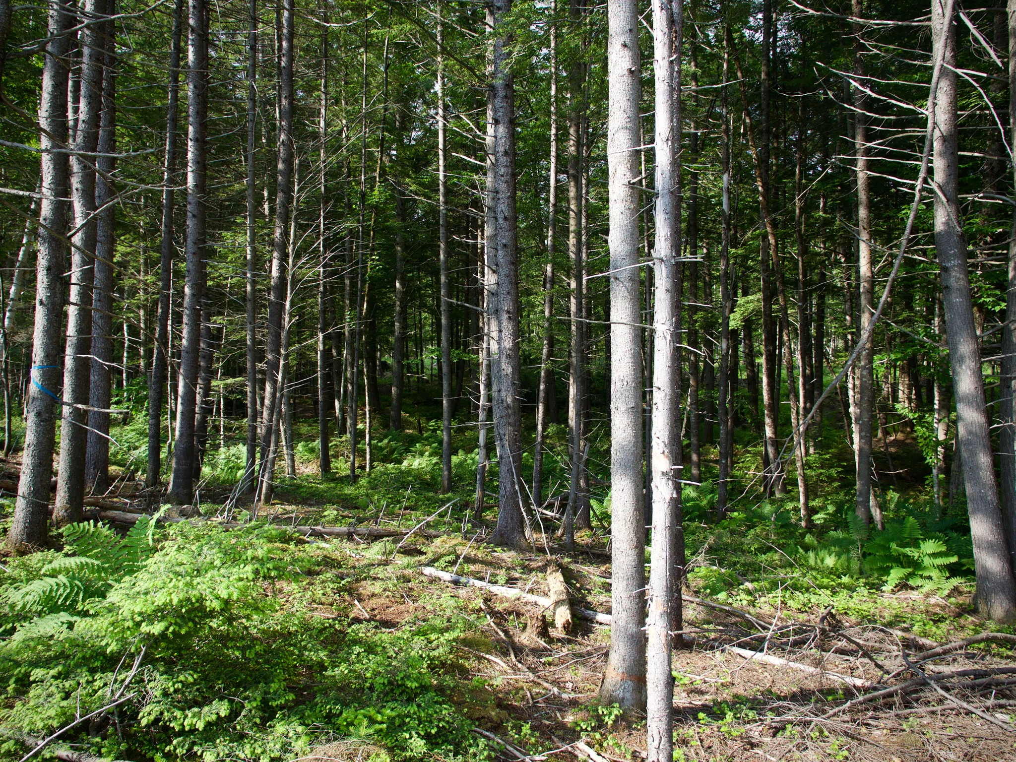 P1060541.jpg