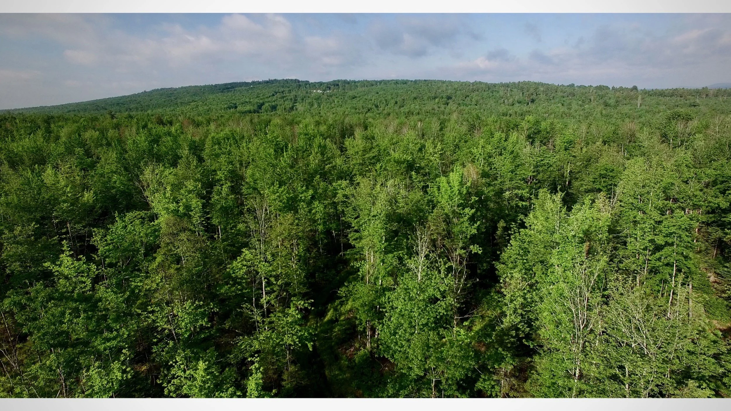Harrison 138 Acres.jpg