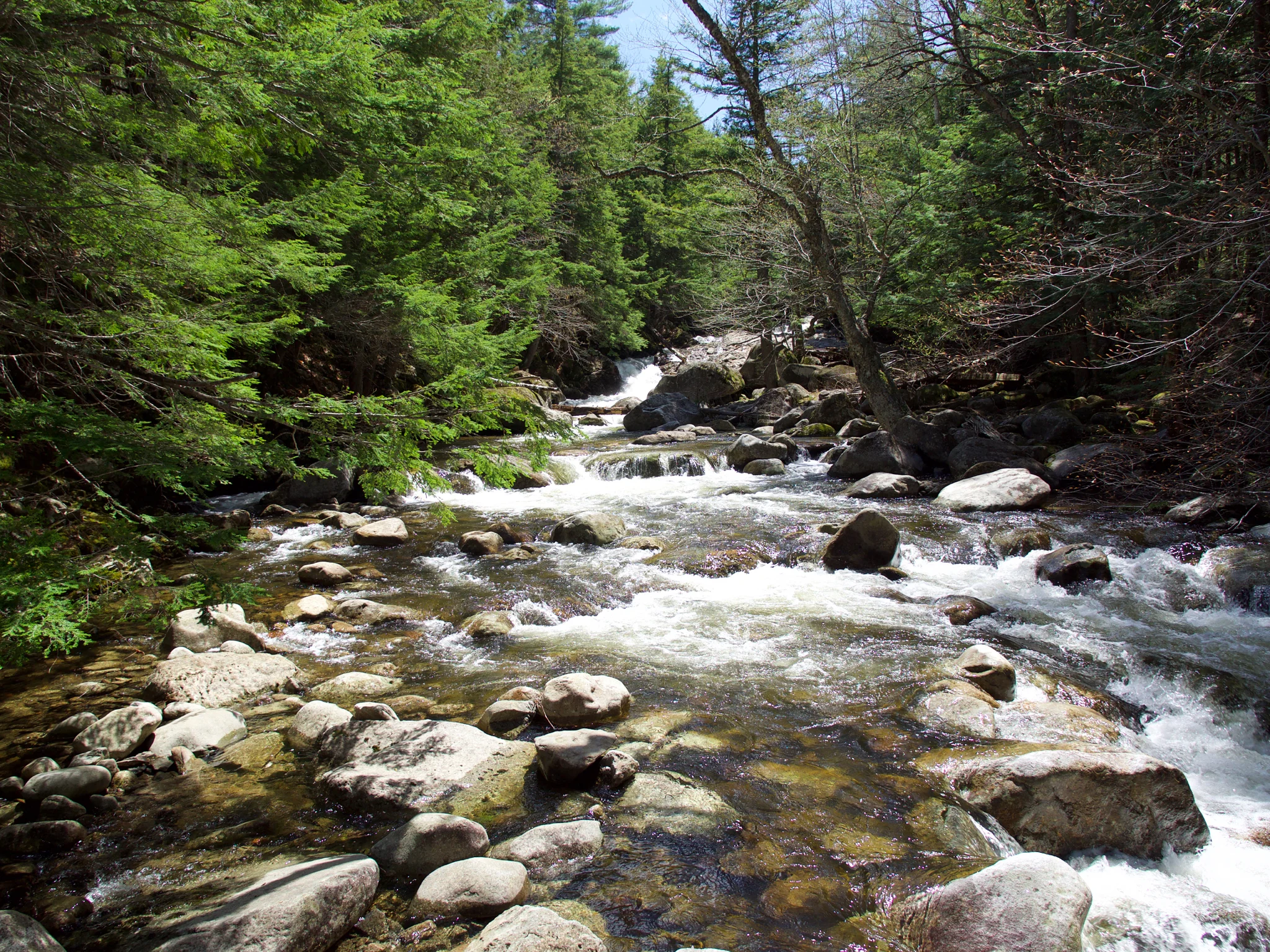P1060137.jpg